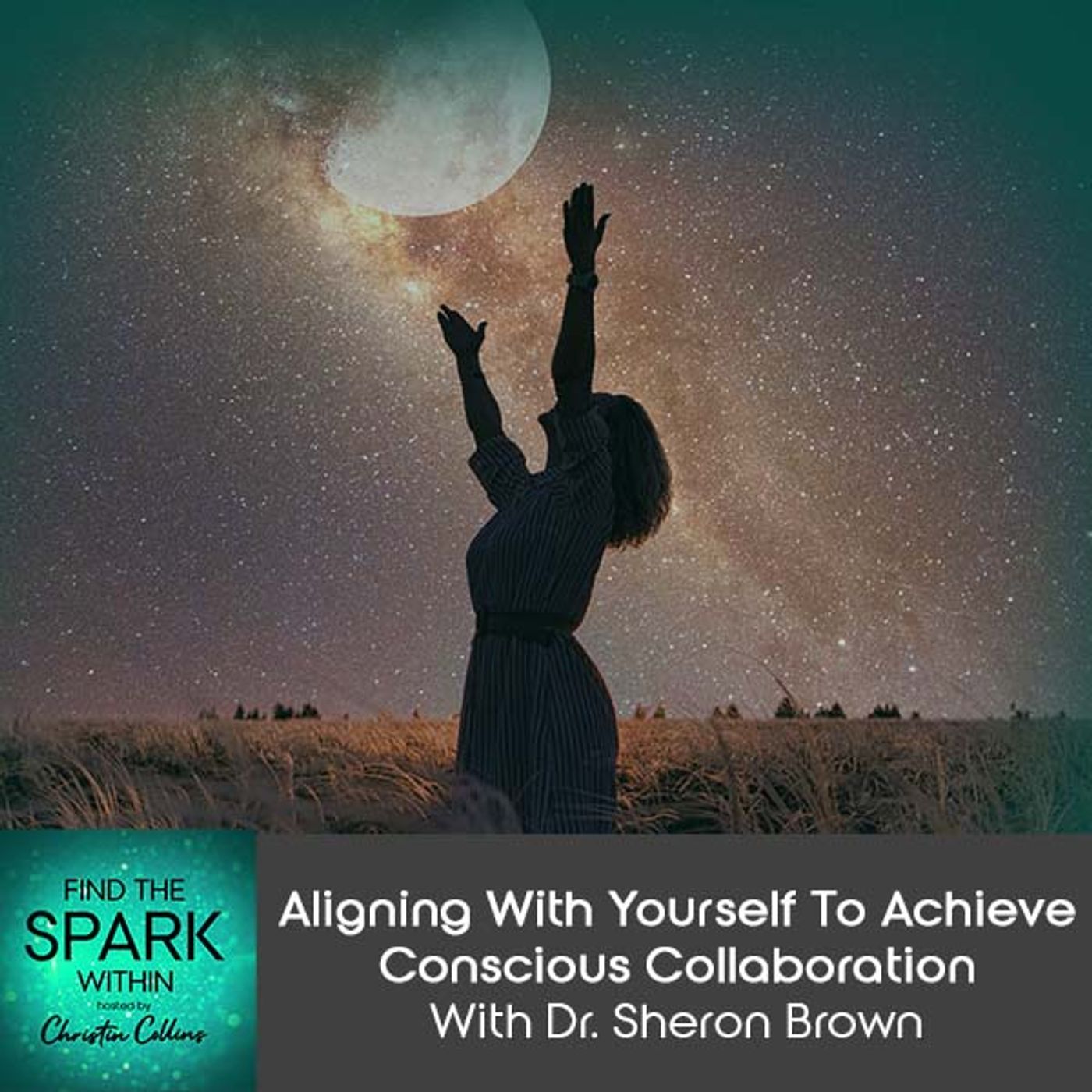 Aligning With Yourself To Achieve Conscious Collaboration With Dr. Sheron Brown episode artwork
