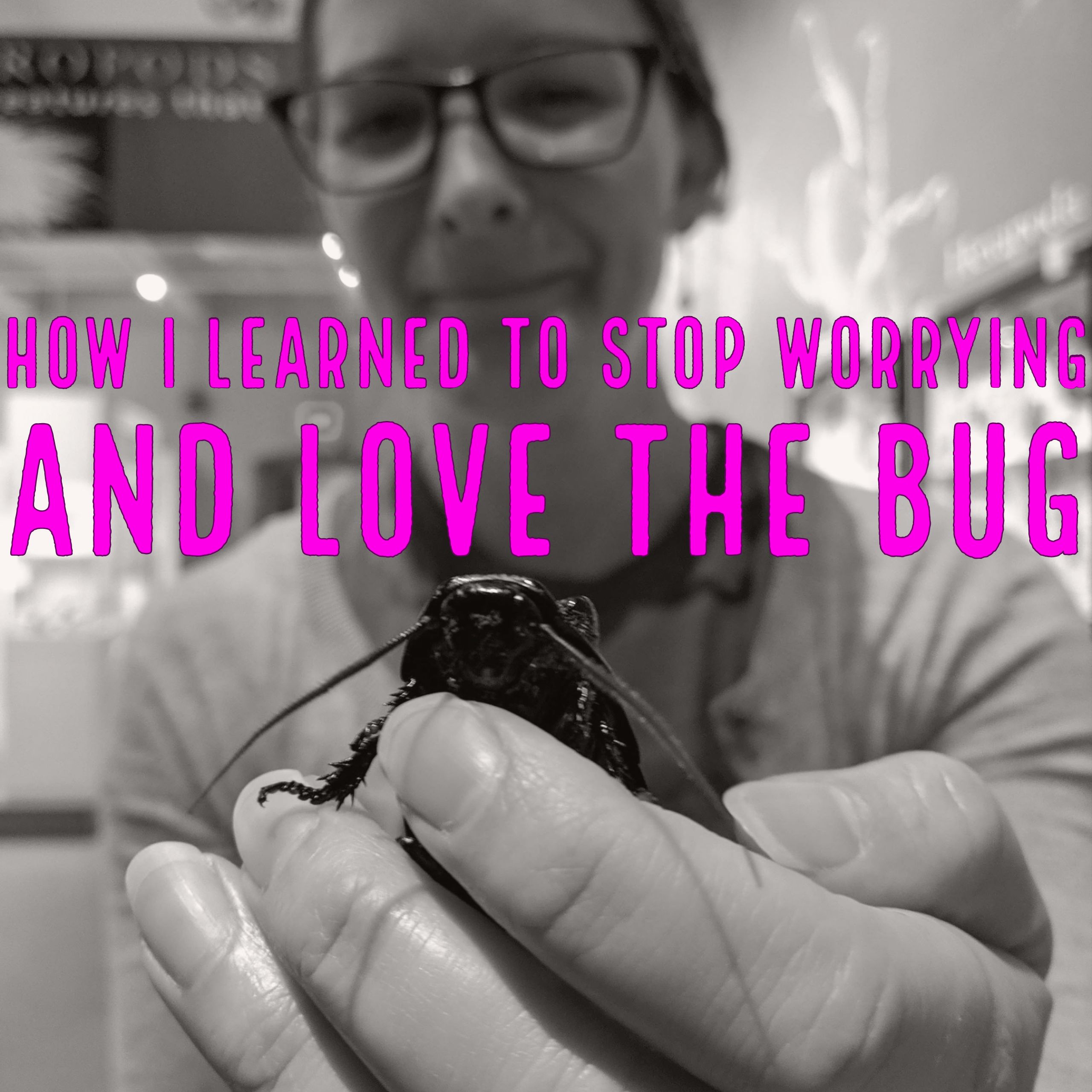 How I Learned to Stop Worrying and Love the Bug