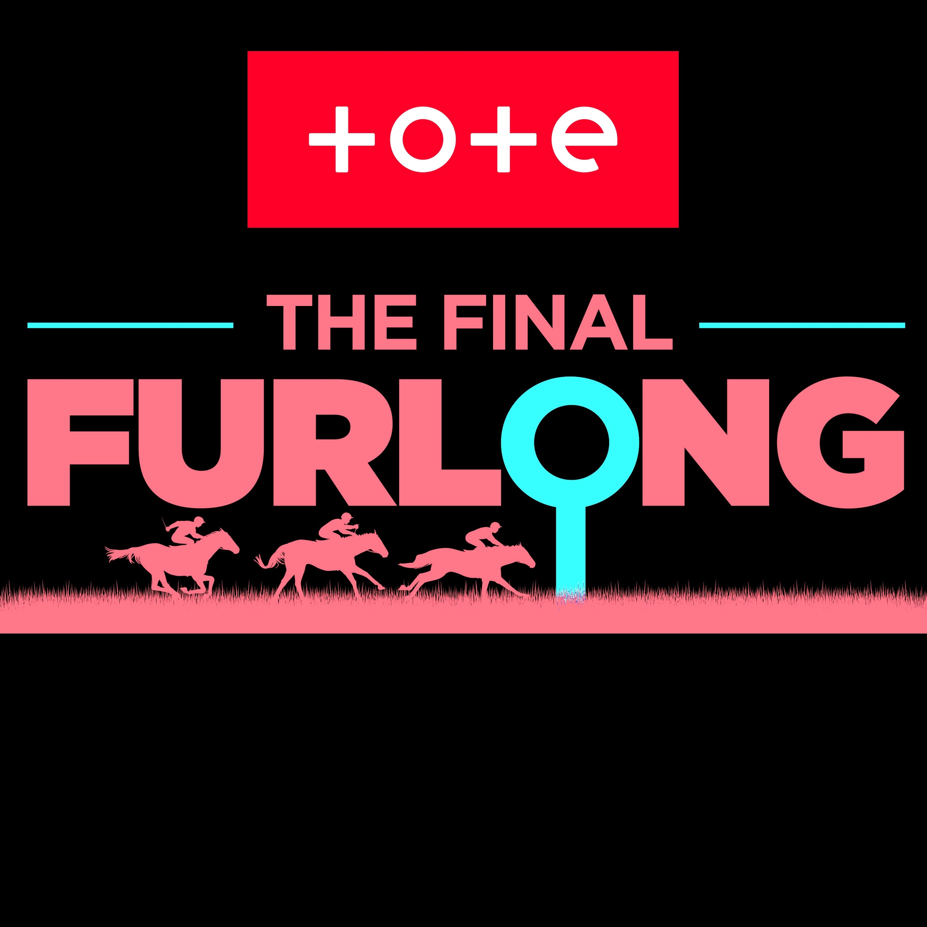 Weekend Winners: Cheltenham