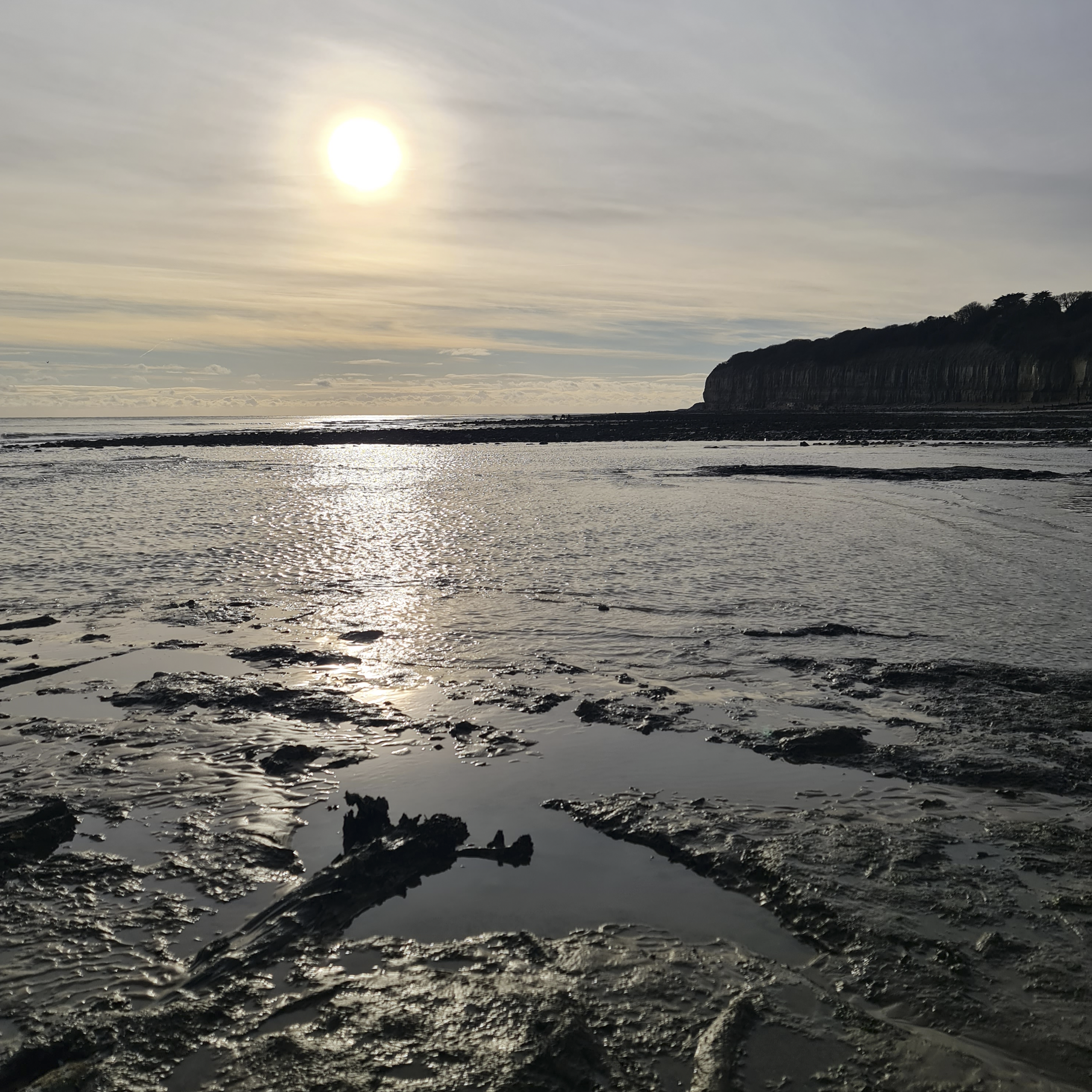 Sound Escape 258. Wild encounters and roaring waves on the Sussex coast