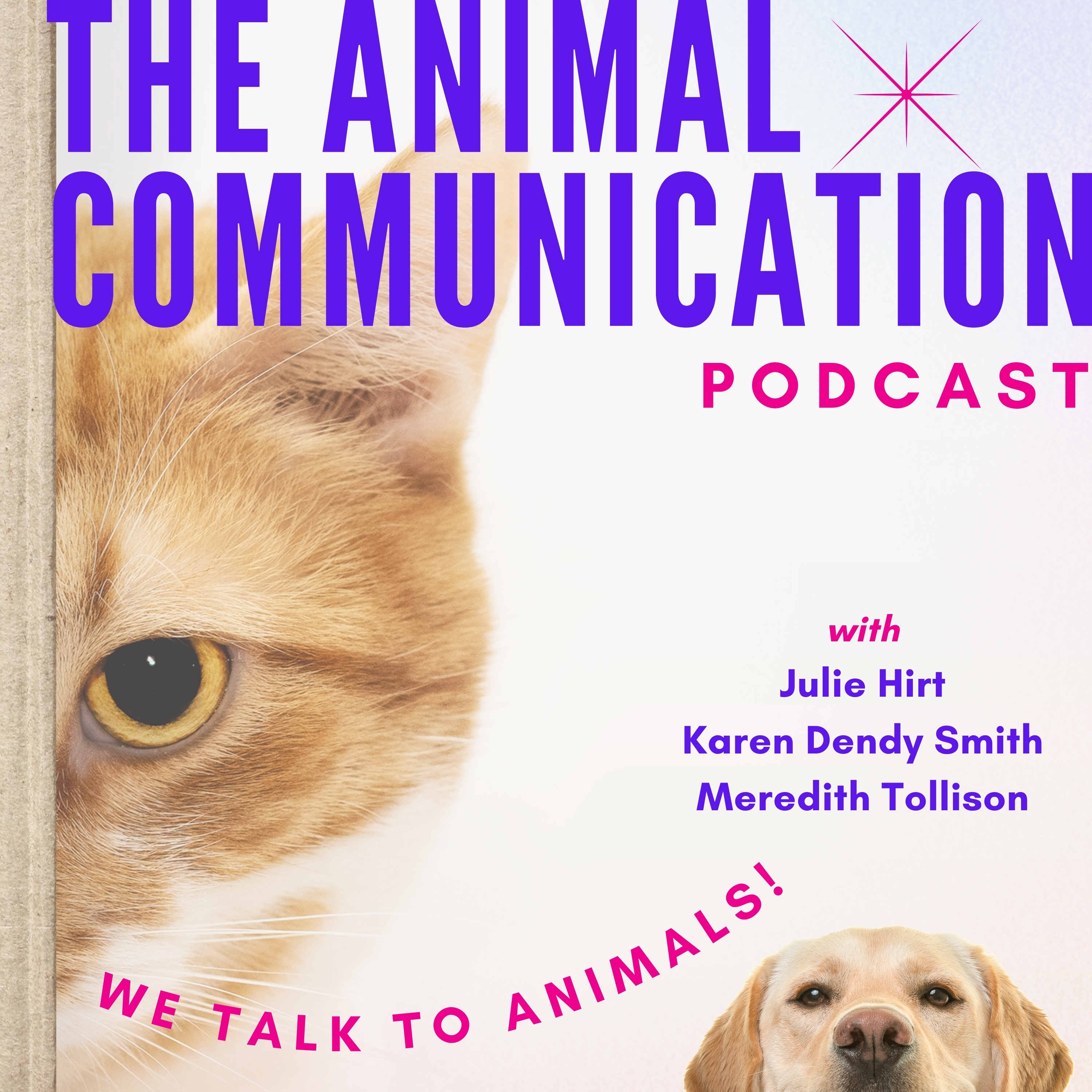 The Animal Communication Podcast