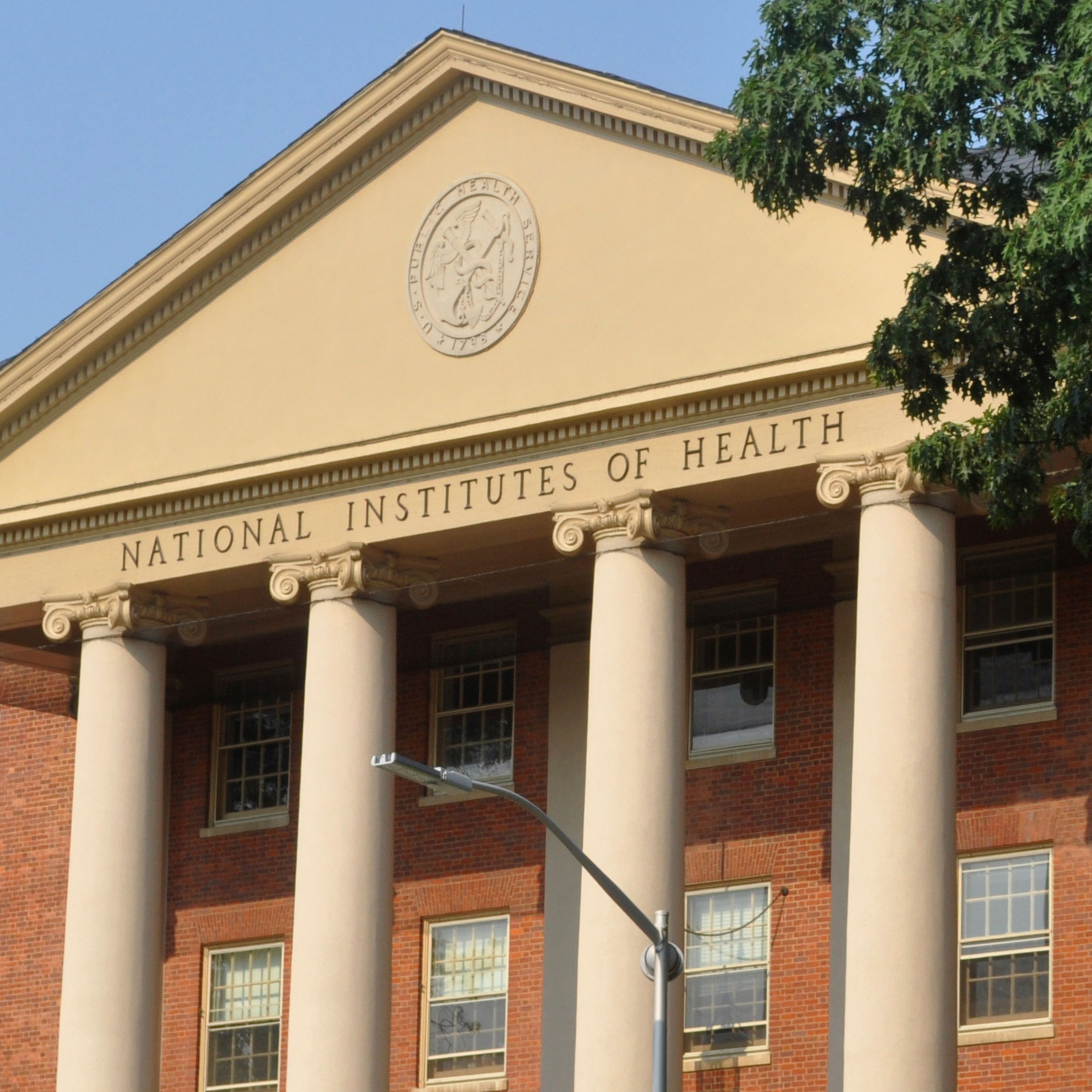 Trump’s NIH Cuts: Scientists Sound the Alarm