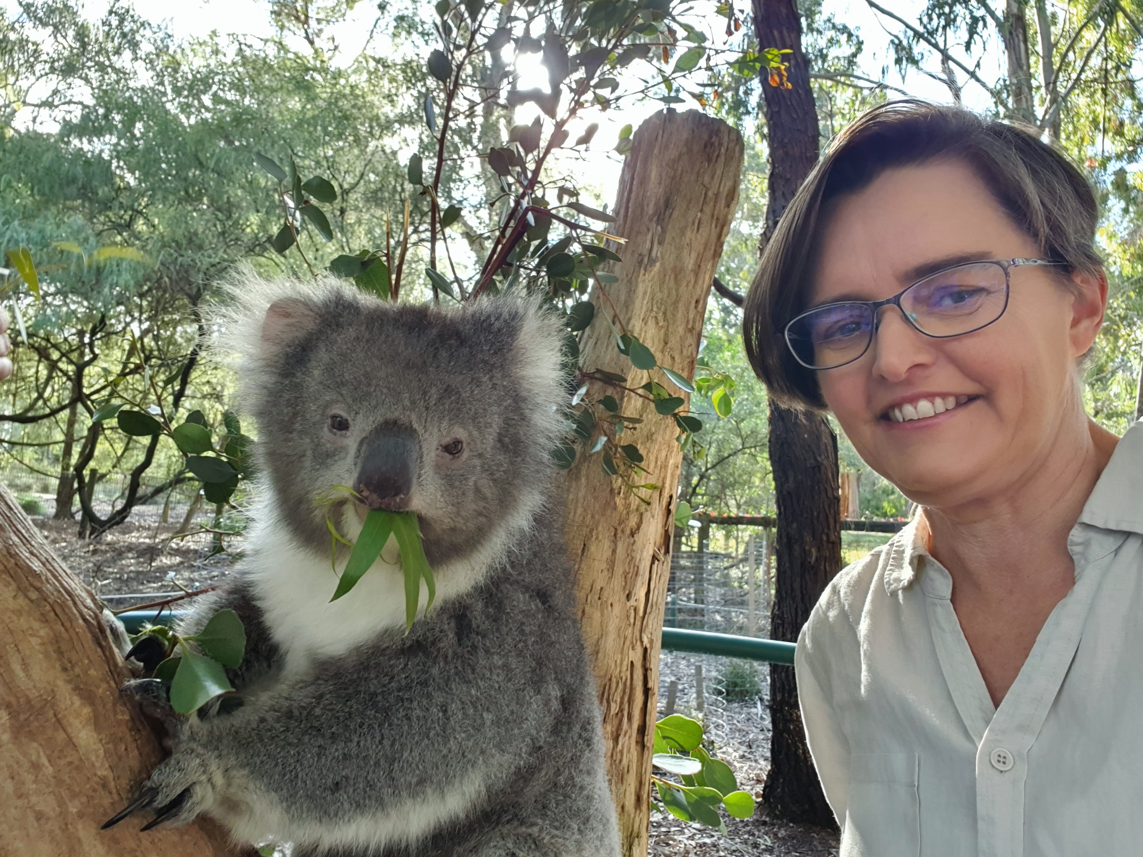 All Creatures Podcast