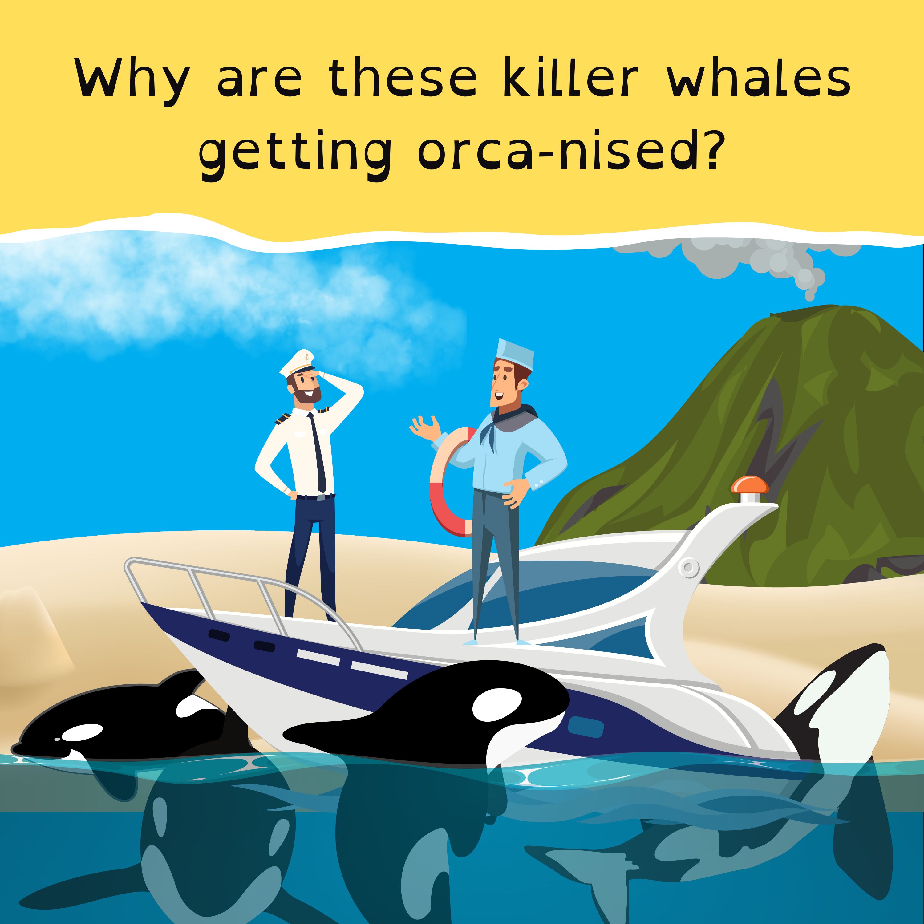 Social media ban for kids; Belgium’s mullet festival; Orcas sink a sail boat; and the wonderful world of whale chat.