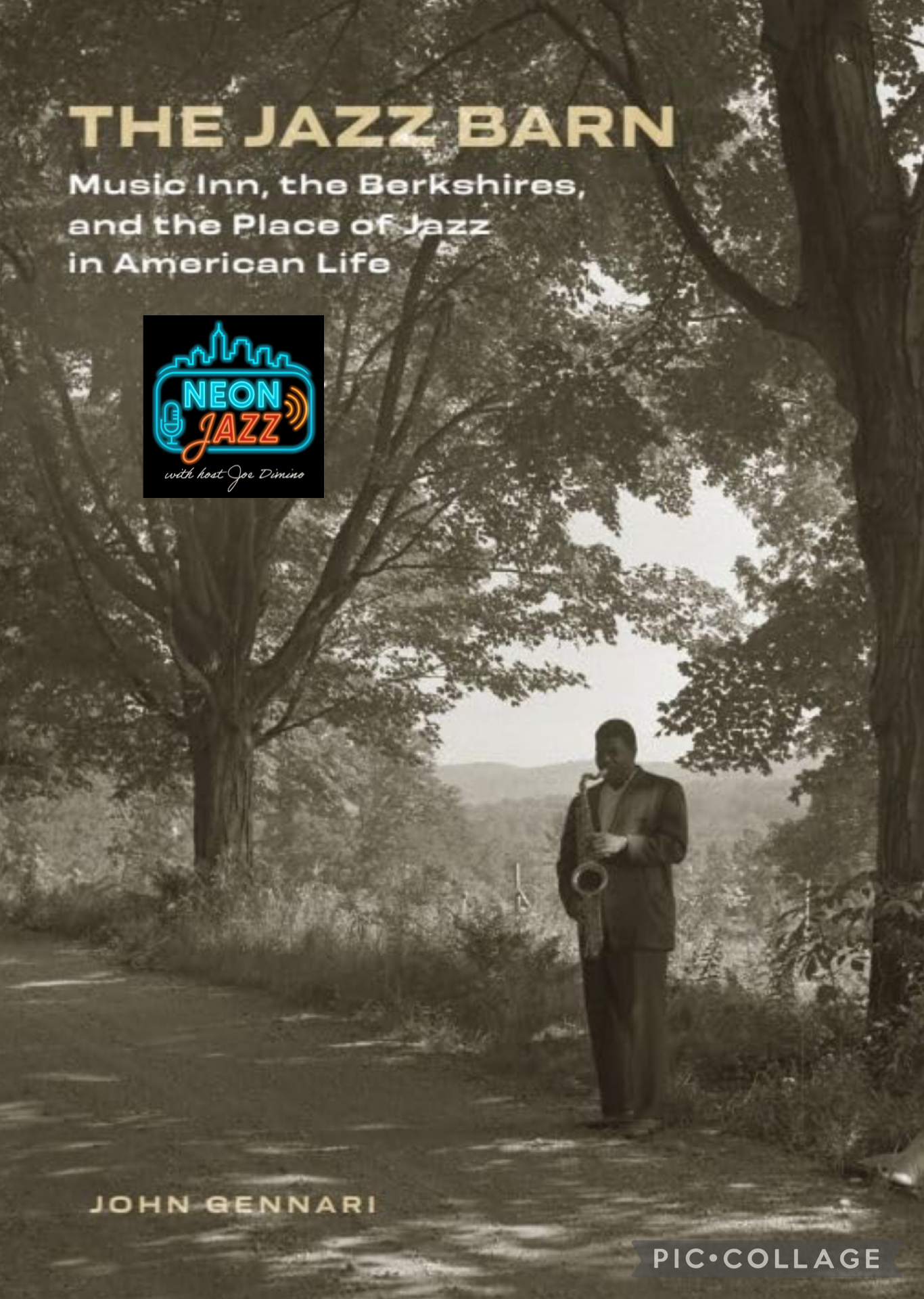 Neon Jazz Interviews