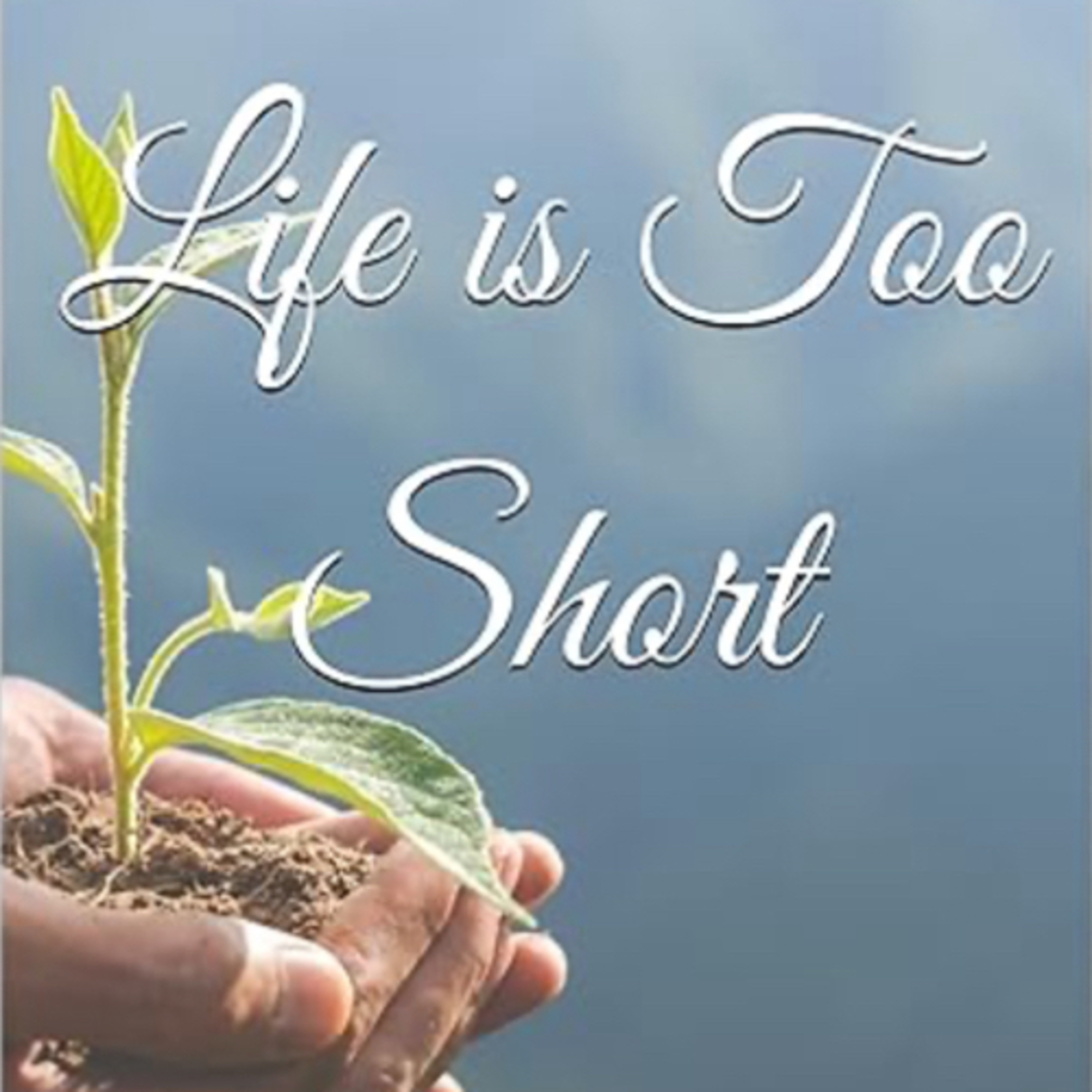 Life is Too Short A Journey of Discovery,Fulfillment,and Joy by Daniel Lucas