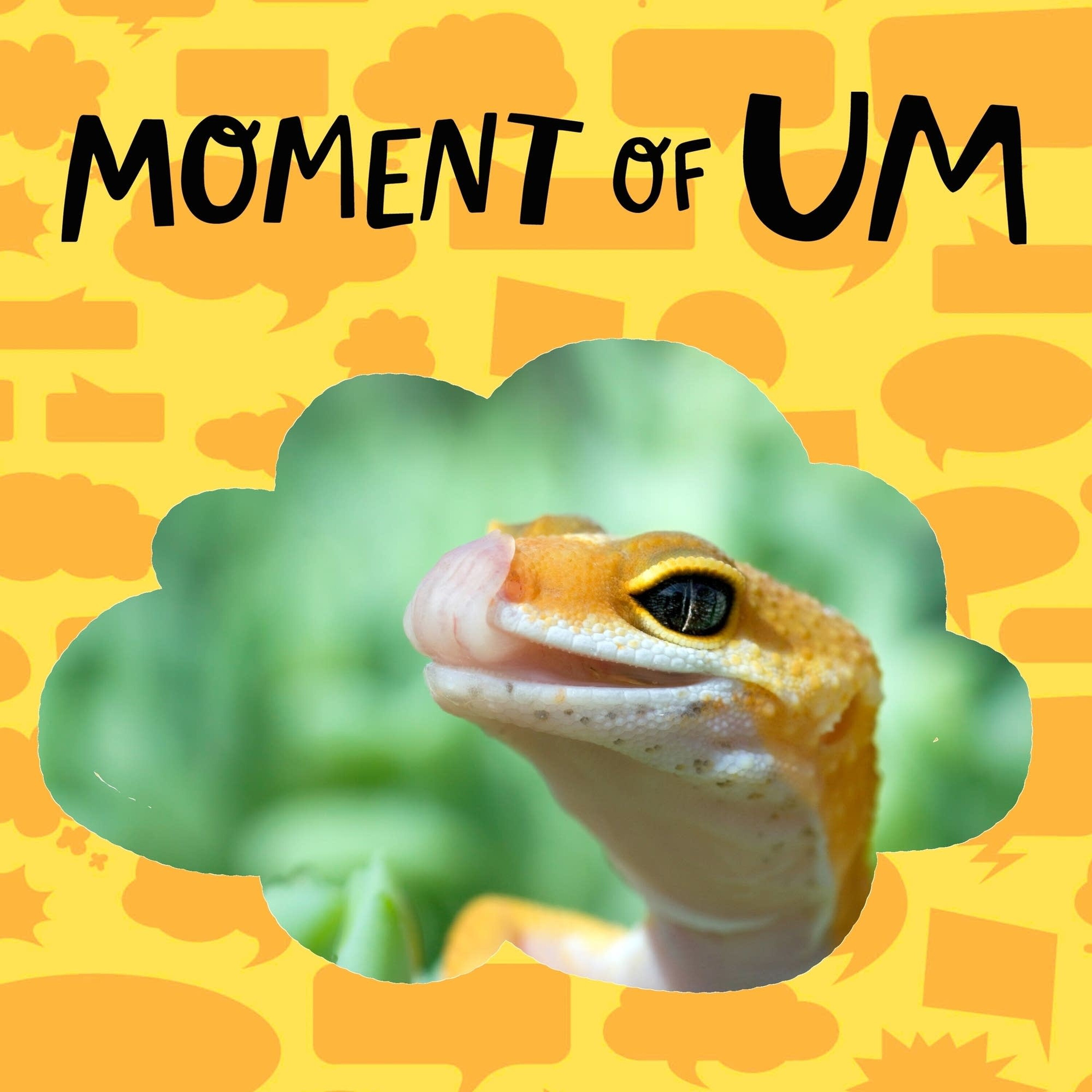 Do lizards smell with their tongues?