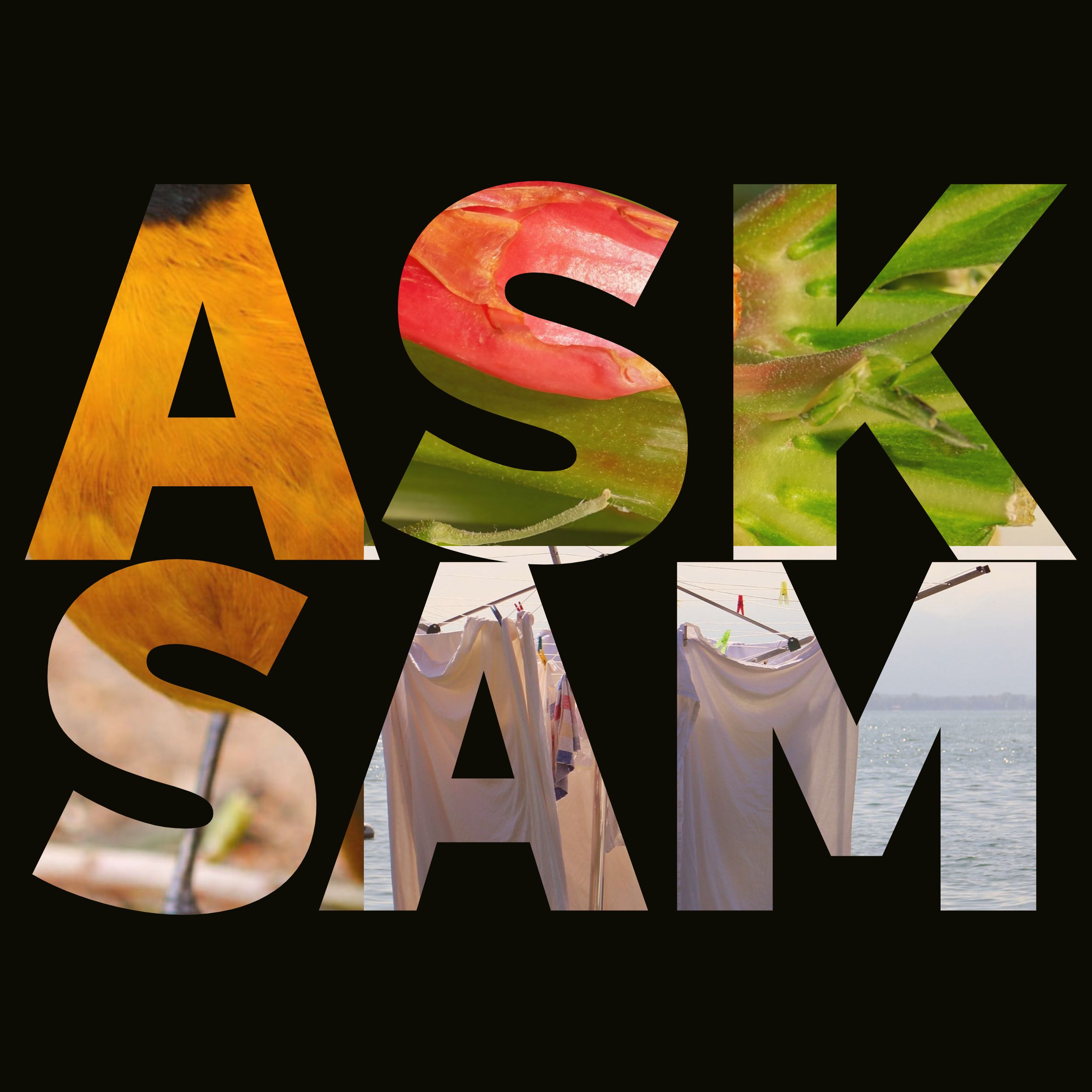 Ask Sam: Grandpa's Rhubarb