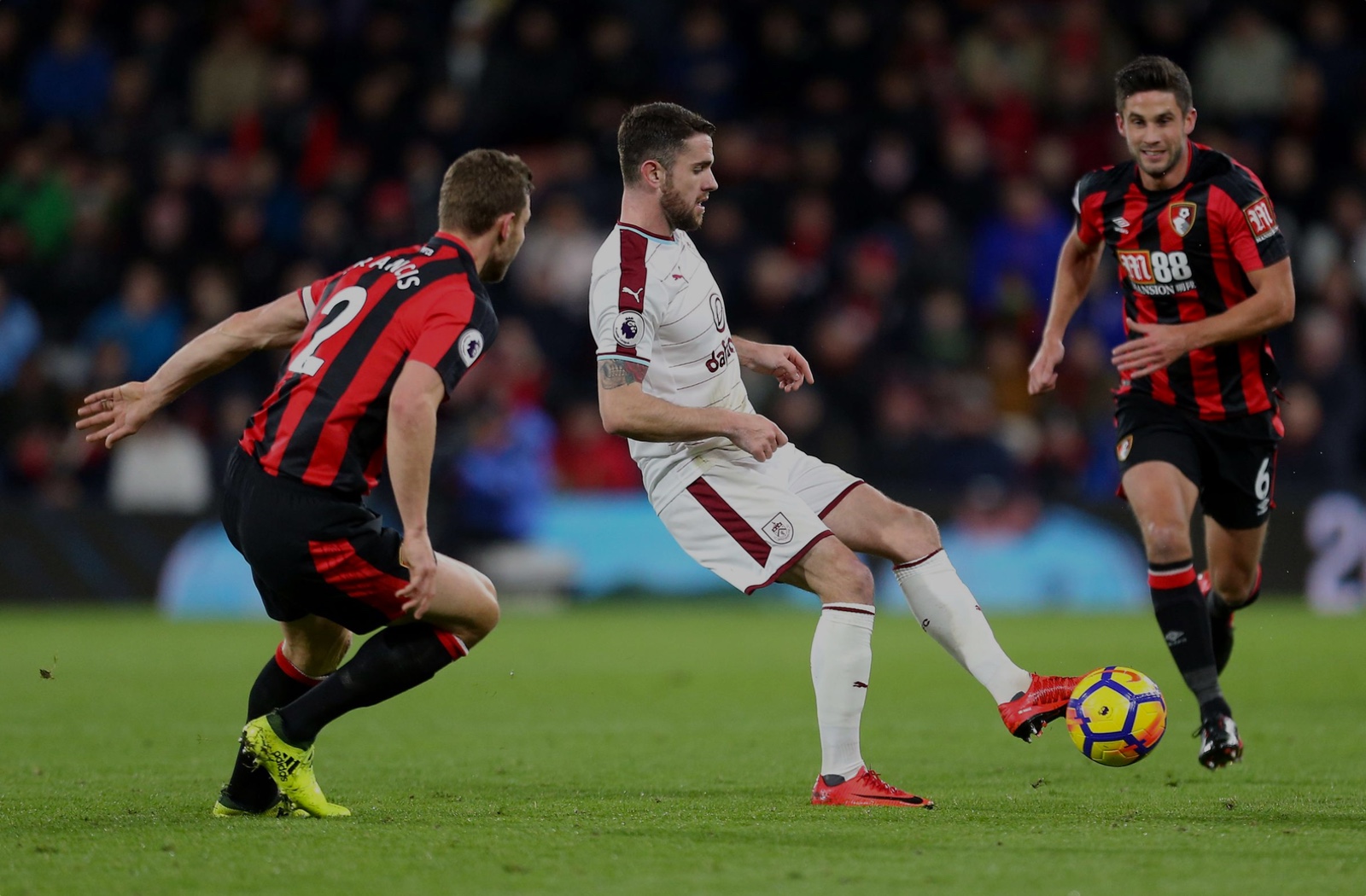 Back Of The Net - The AFC Bournemouth Podcast