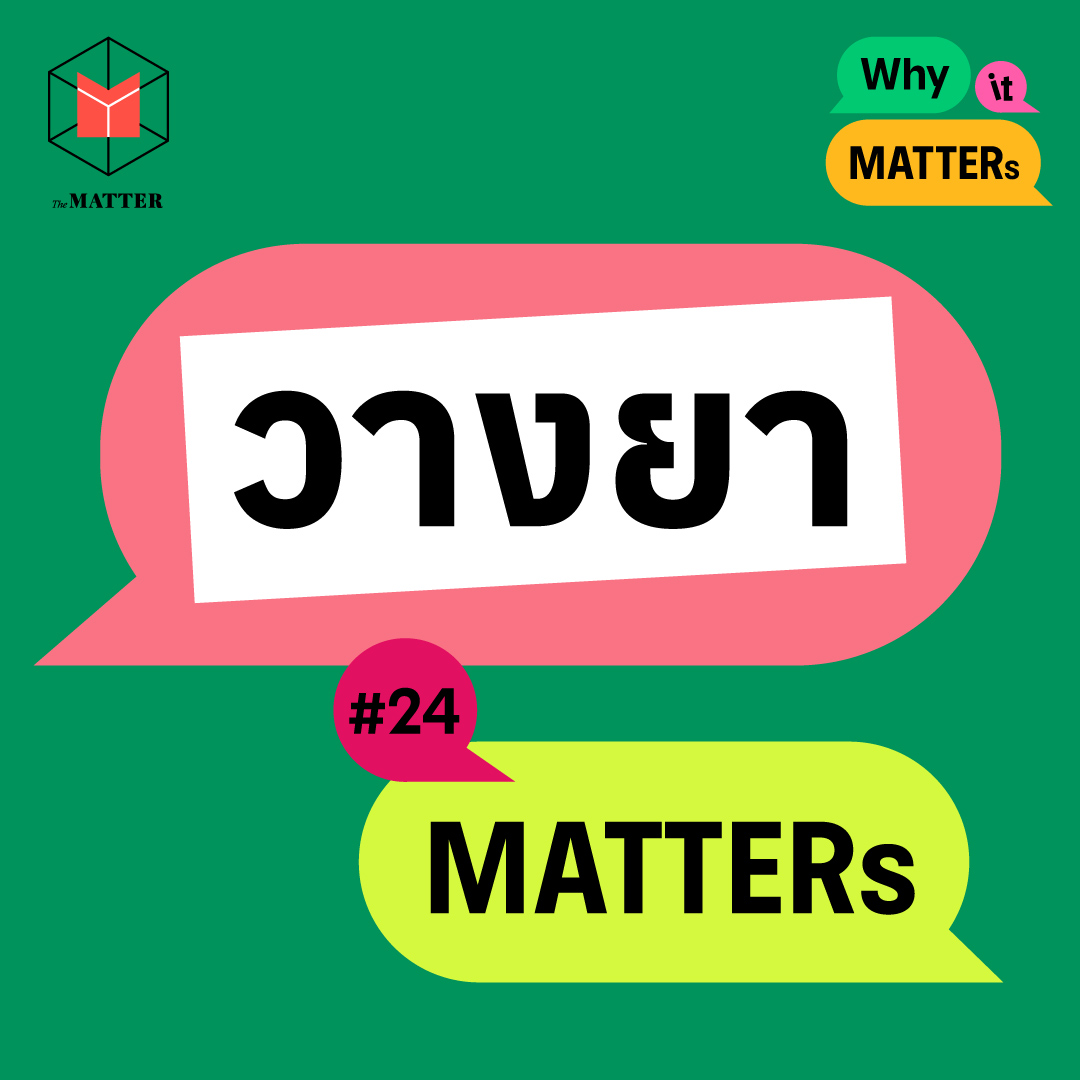 สวัสดิภาพสัตว์ กับการวางยาสลบแมวในละครแม่หยัว | Why It MATTERs EP24