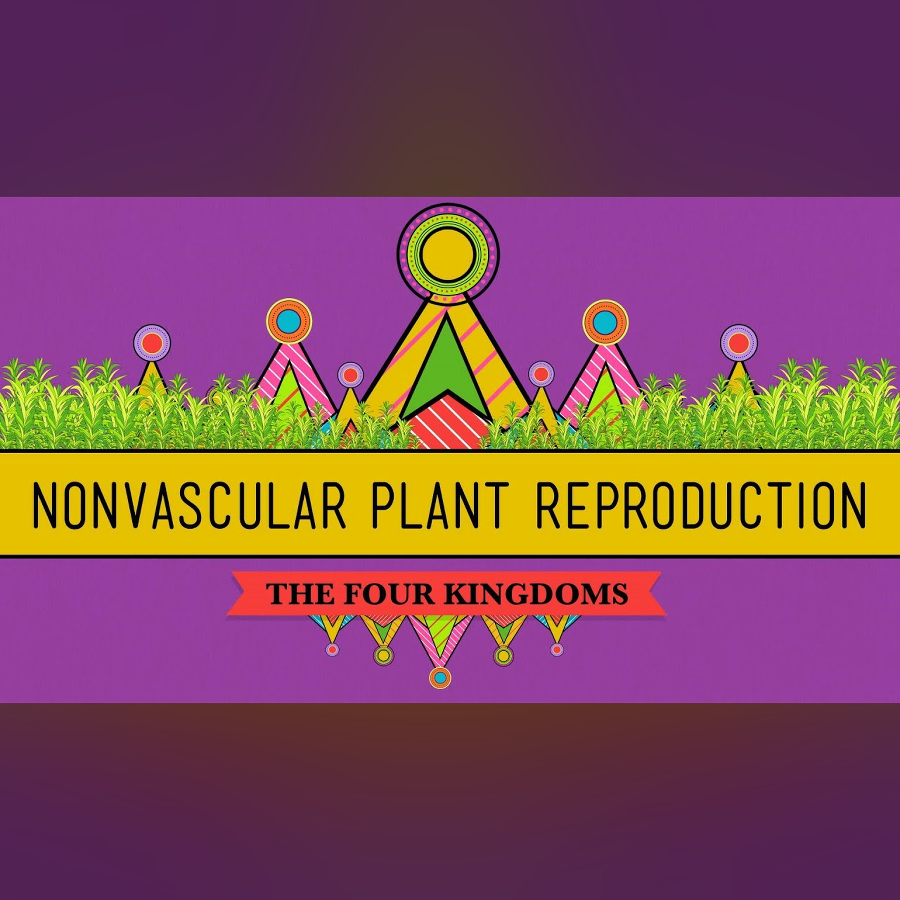 The Reproductive Lives of Nonvascular Plants: Alternation of Generations - Crash Course Biology #36