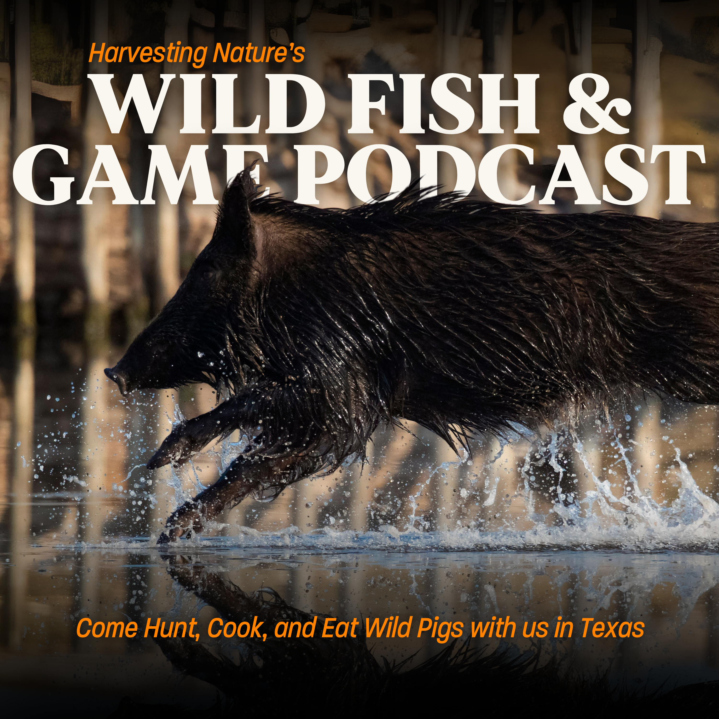 Episode 187: Come Hunt, Cook, and Eat Wild Pigs with us in Texas