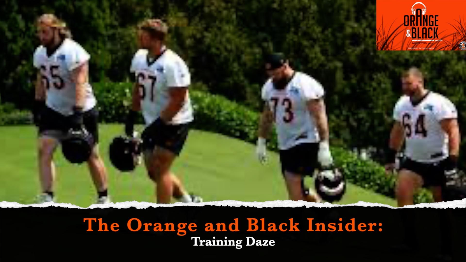 The Orange and Black Insider Bengals podcast: Training Daze episode artwork
