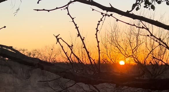 EP 319 Chasing Carmen Mountain Whitetails & Defending the 2nd Amendment with Jeff Johnston EP 319 Chasing Carmen Mountain Whitetails & Defending the 2nd Amendment with Jeff Johnston