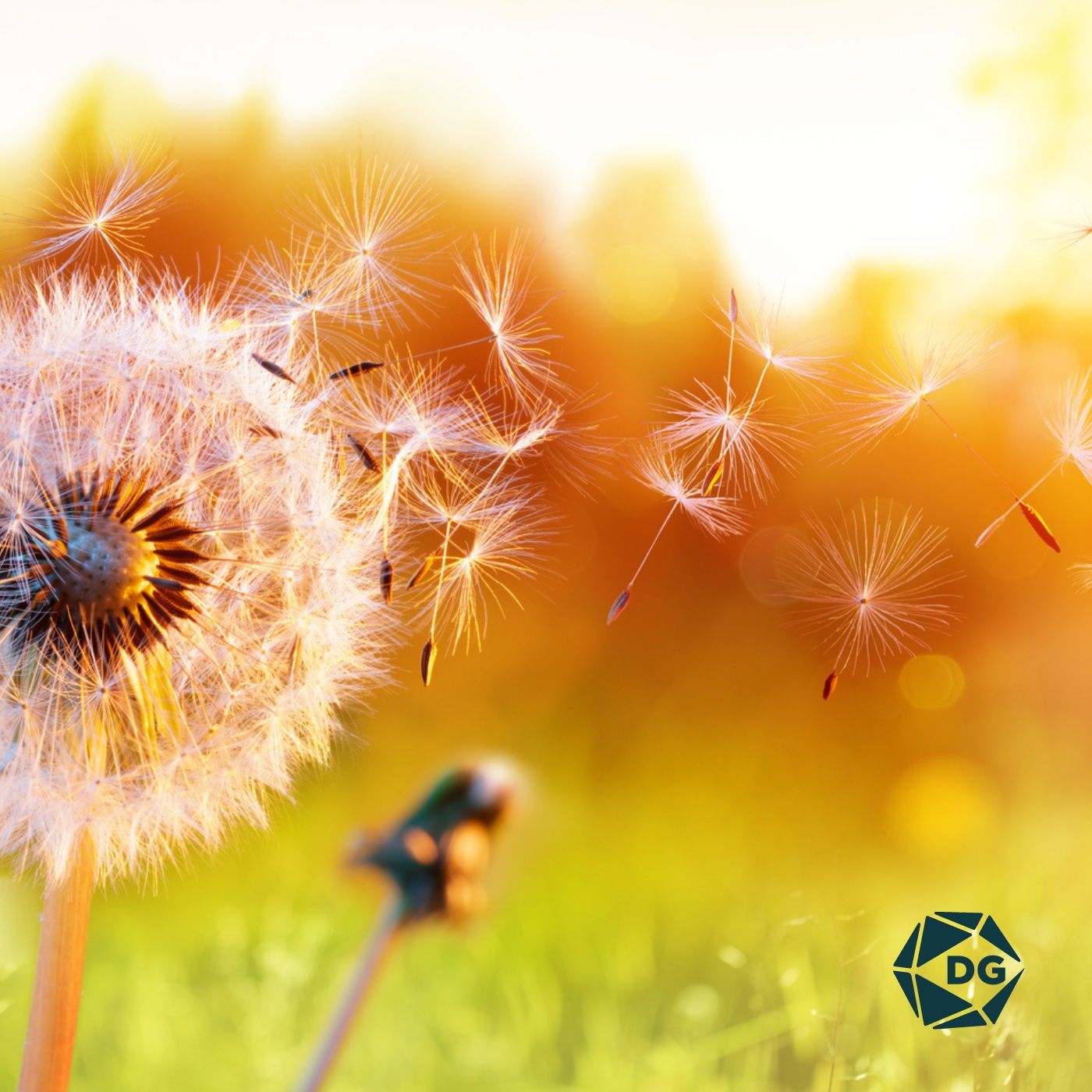 Aria di cambiamento | Episodio 113