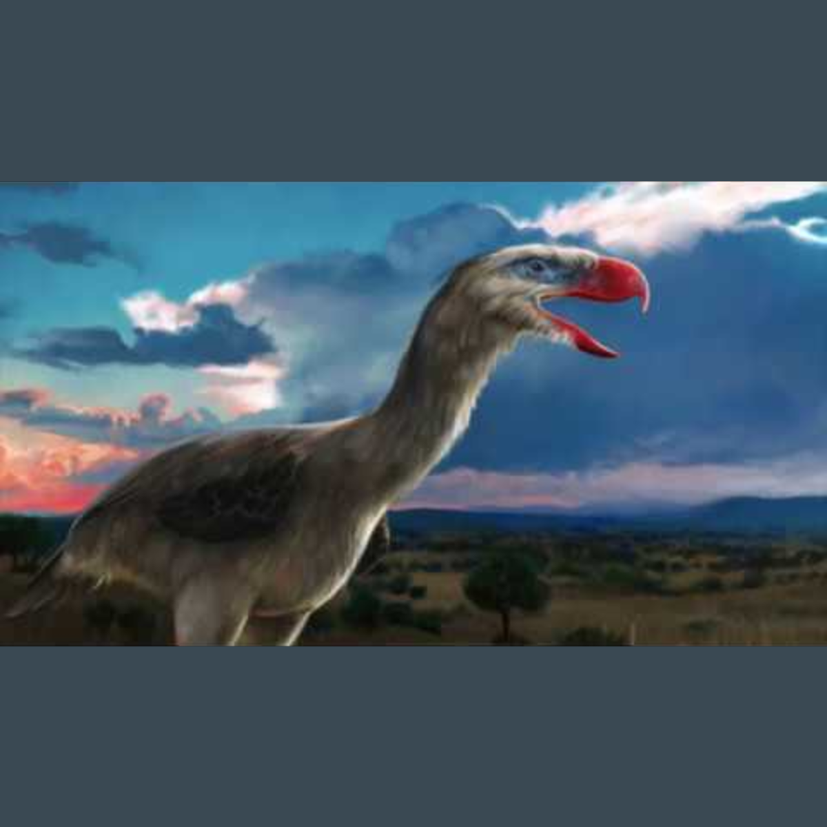 Terror Bird - Ancient Animal (audio issue) episode artwork
