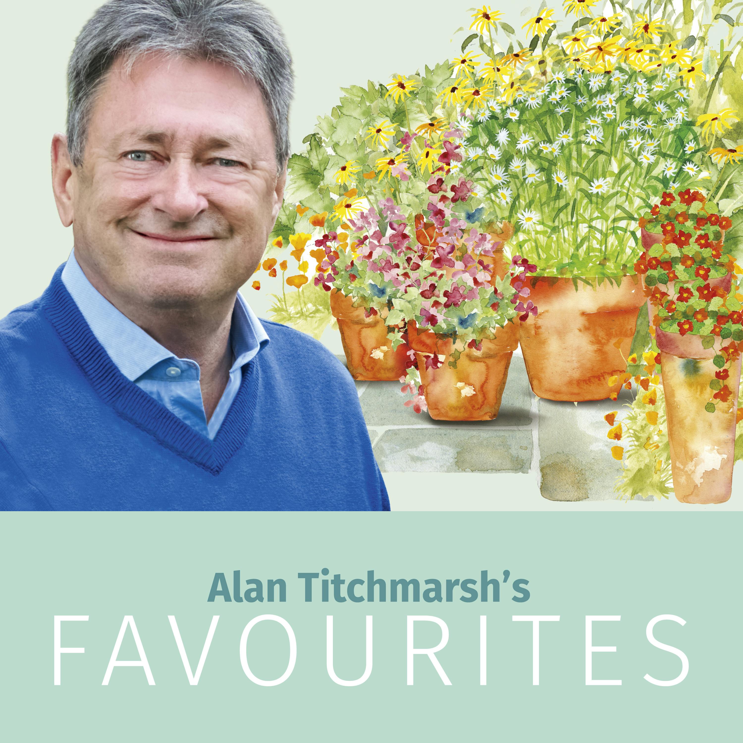 Alan’s Favourites: Best Bedding Plants