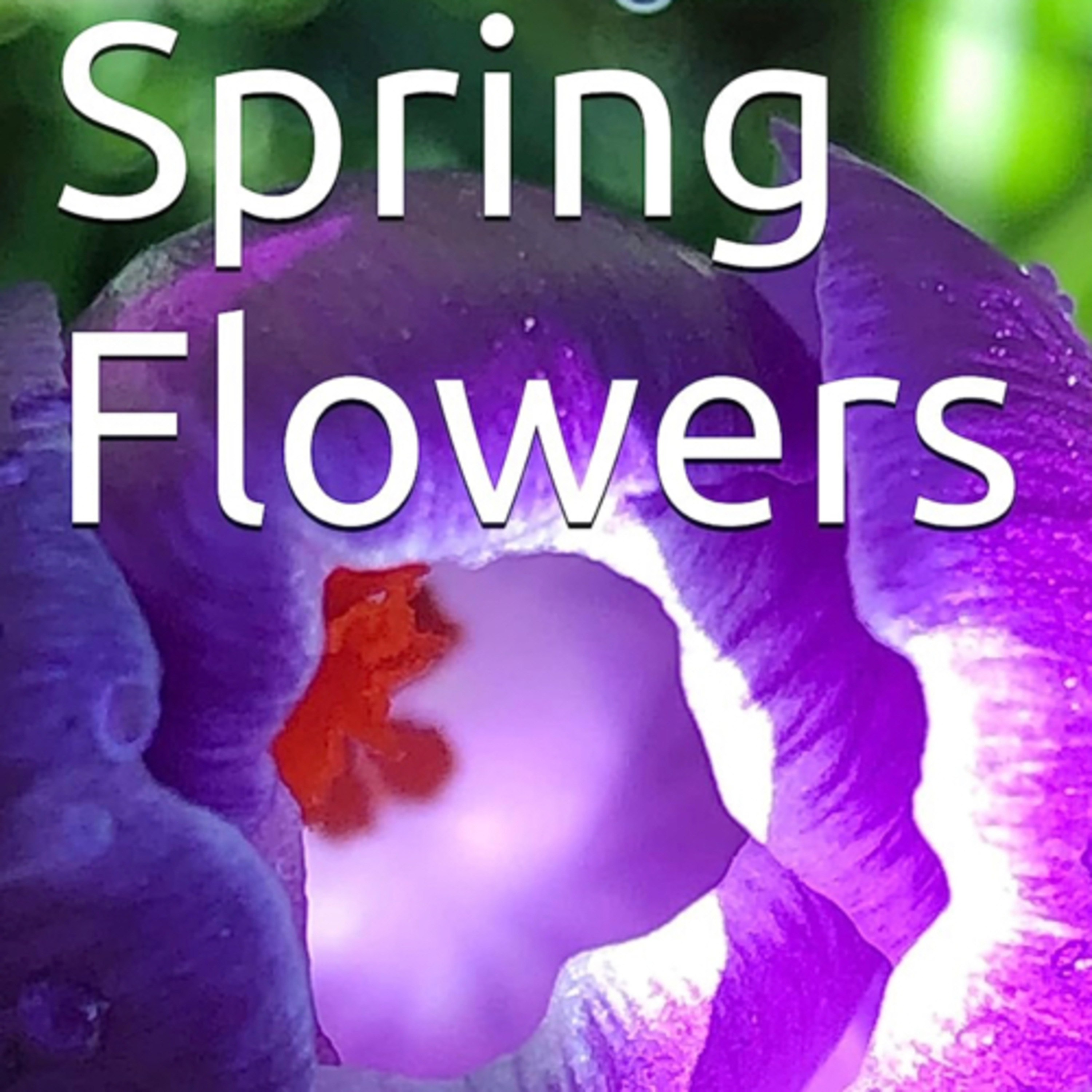 Spring Flowers Volume 56 Fancy by Daniel Lucas