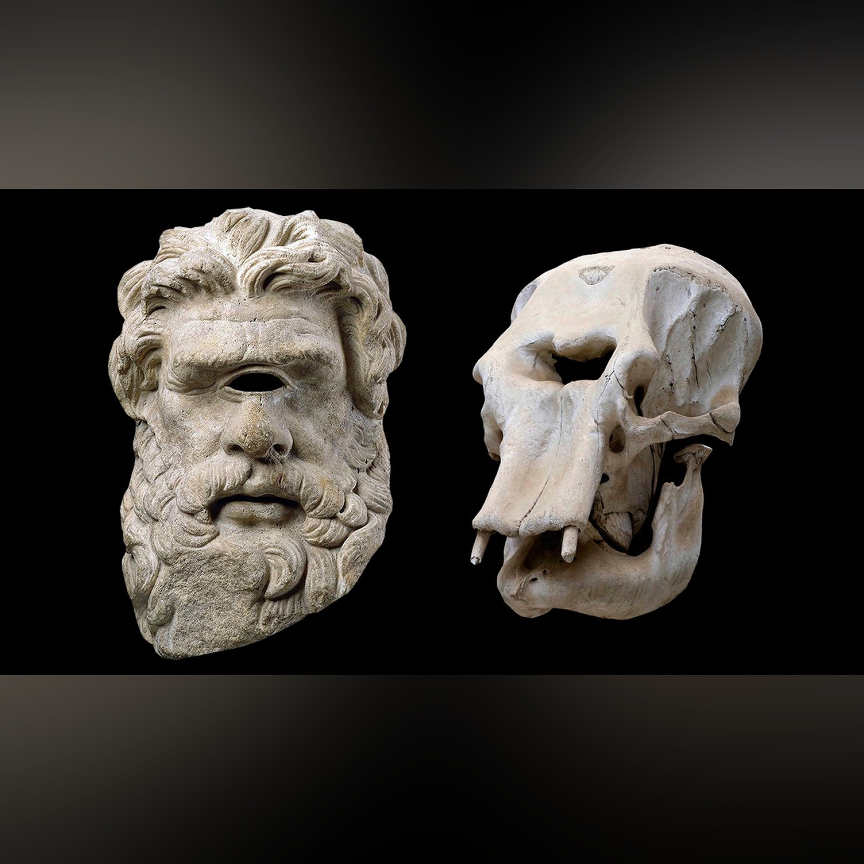 What Inspired the Cyclops? | The Origin of the Odyssey's Monsters