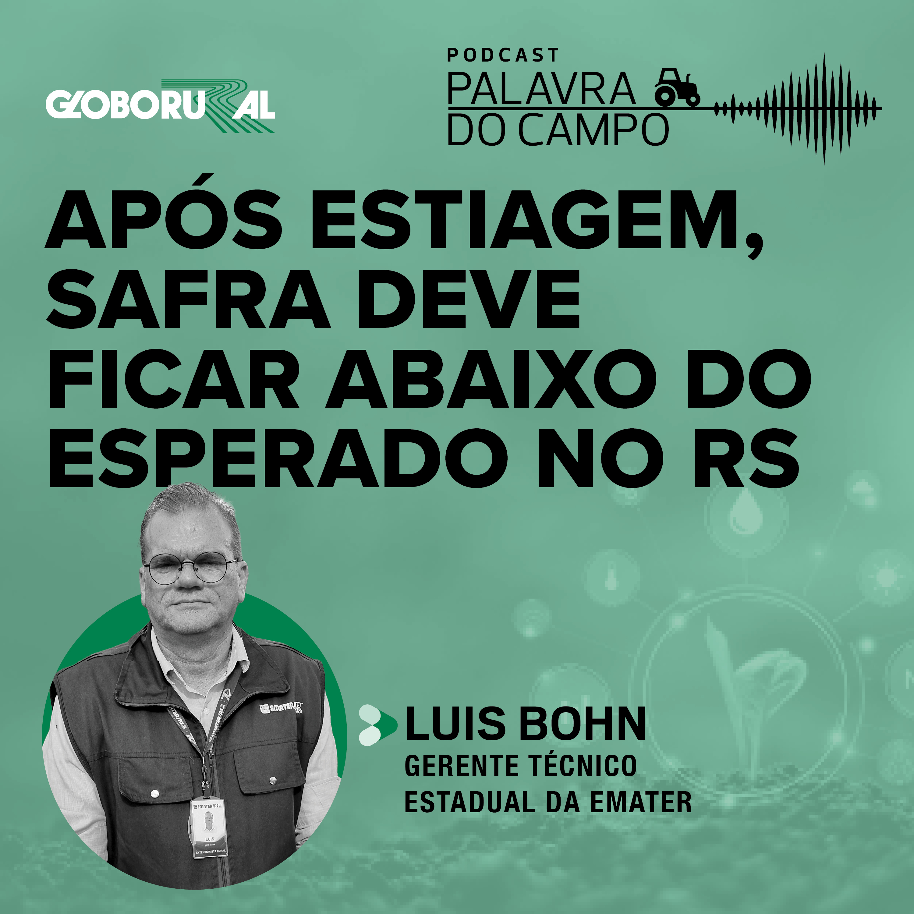 Após estiagem, safra deve ficar abaixo do esperado no RS