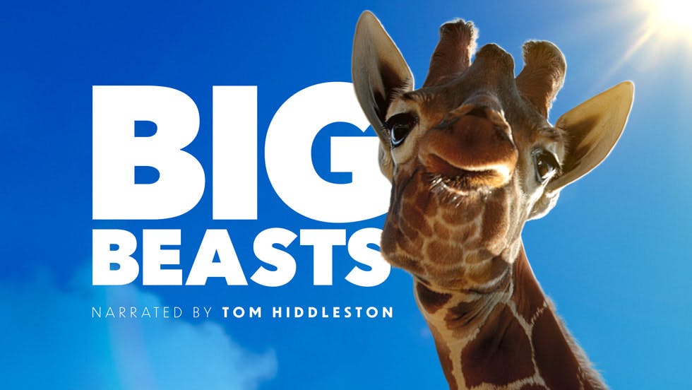 Episode 334: Big Beasts w/Tom Hugh Jones & Bill Markham