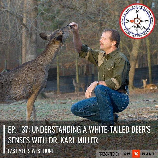 Ep. 137: Understanding a White-tailed Deer's Senses with Dr. Karl Miller