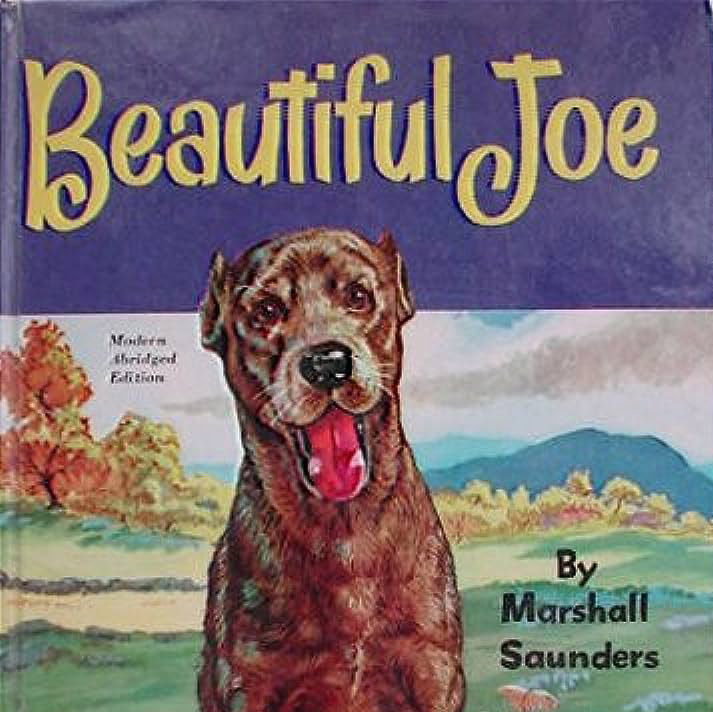 Classic Audiobook Collection