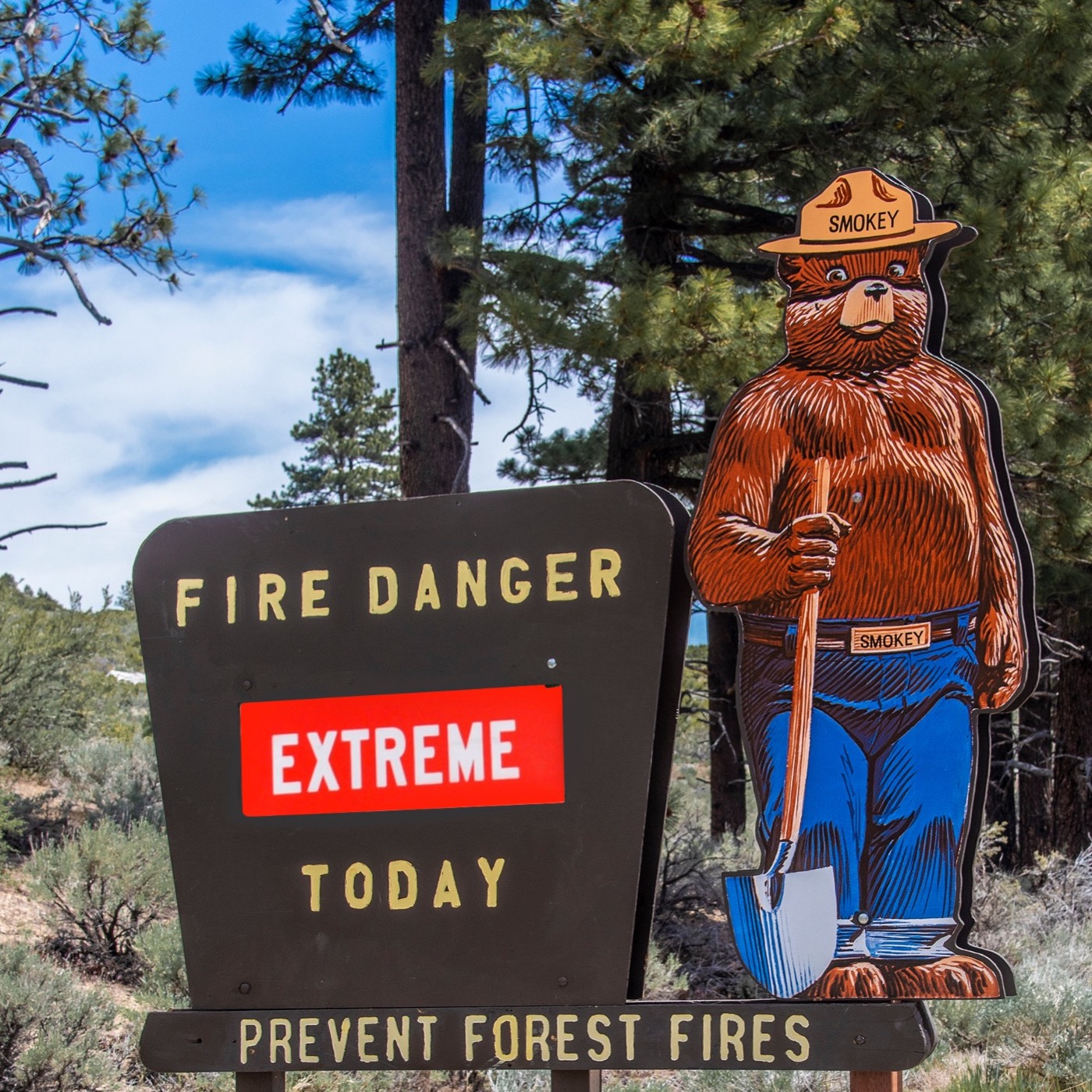 #82: Smokey Bear Has Never Been Hotter