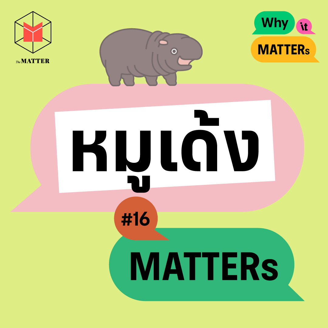 หมูเด้ง ลูกฮิปโปแคระ ไวรัลไทยดังไกลไปทั่วโลก | Why It MATTERs EP16