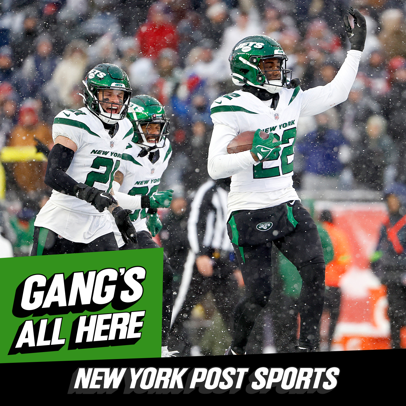 Jets Season in Review, Offseason Preview episode artwork
