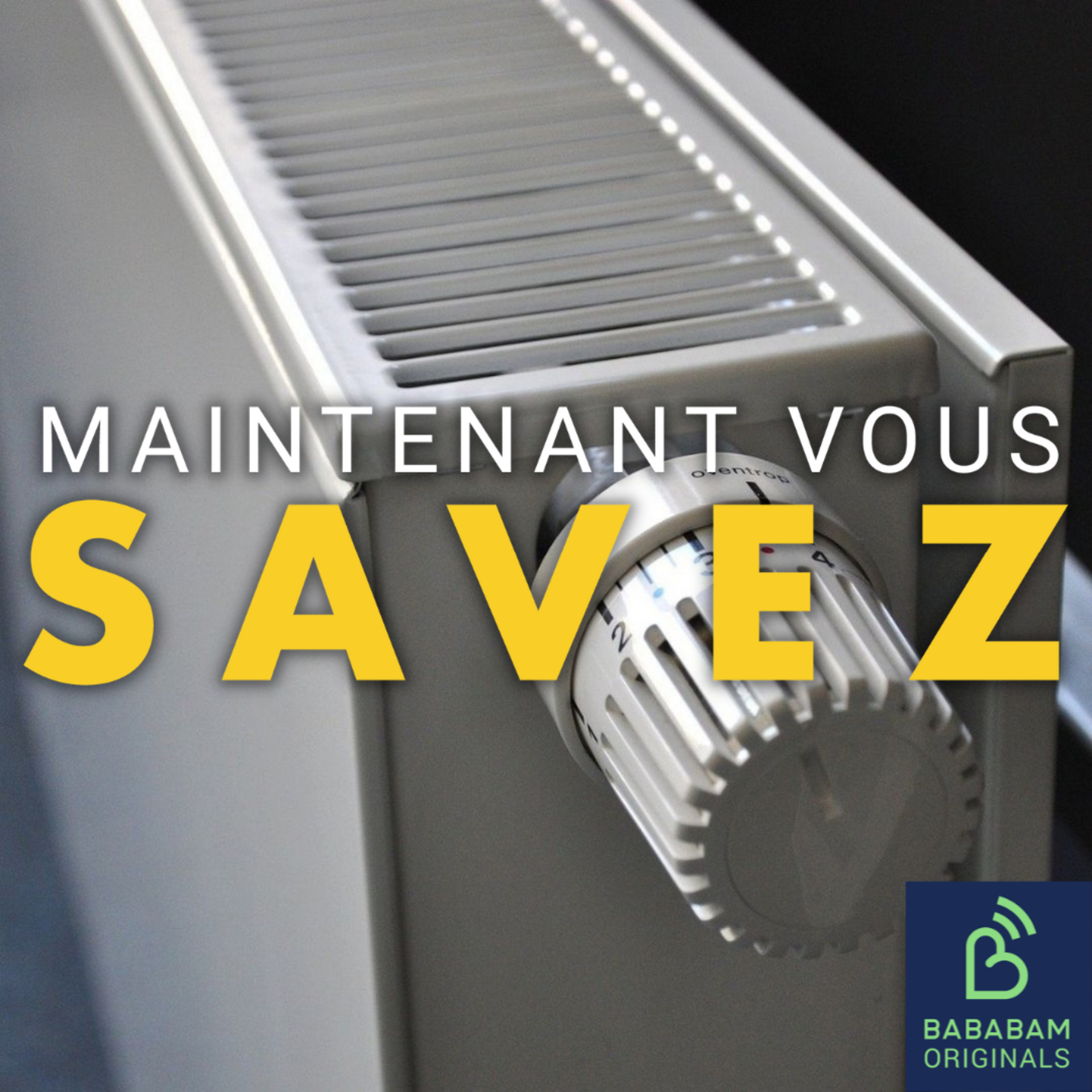 Qu’est-ce que la précarité énergétique, qui touche un tiers des Français ? 