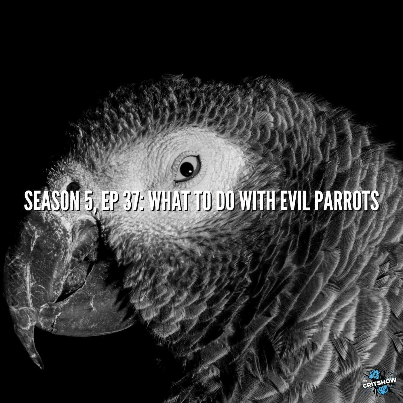 What To Do With Evil Parrots (S5, E37)