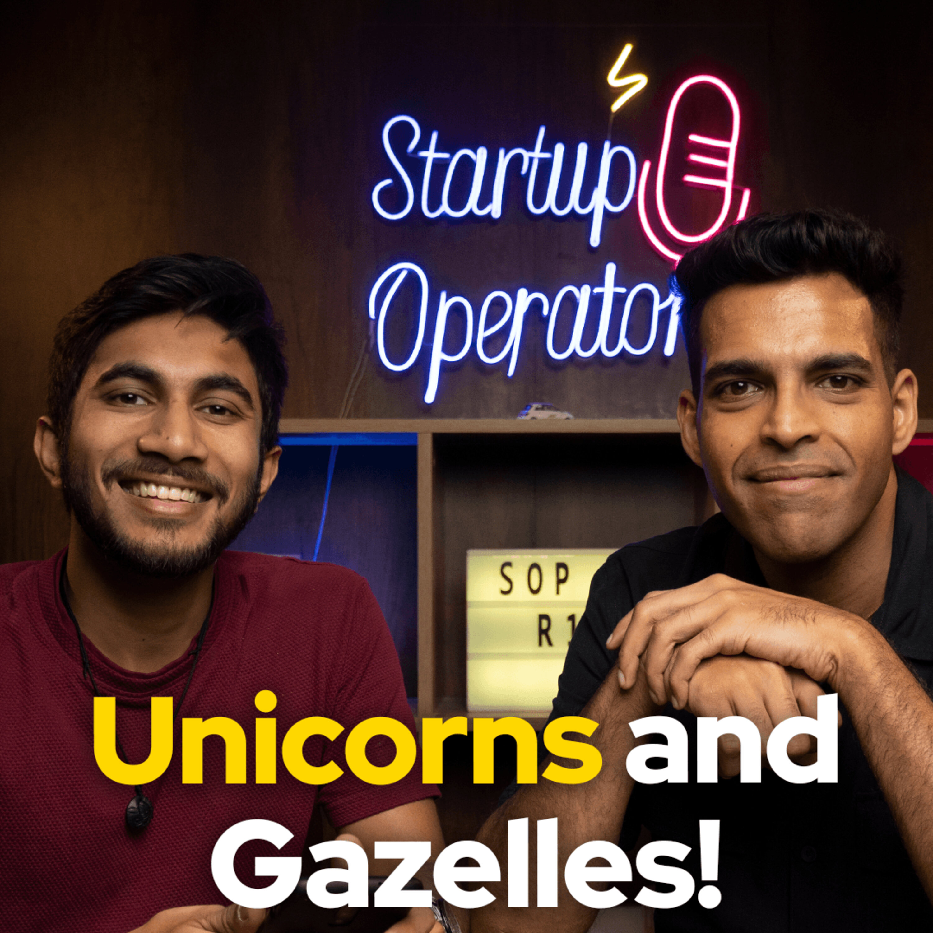 147 Unicorns in India soon? - Roundup #117 episode artwork