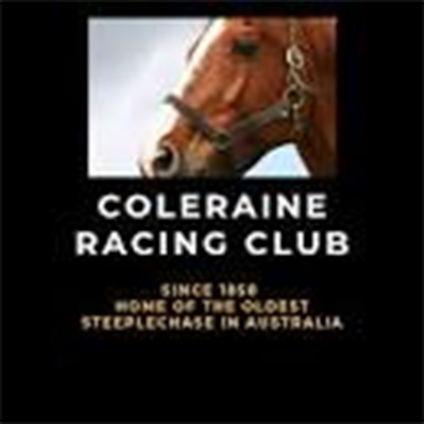 Coleraine Racing Club President Rod Neeson chats to Andrew Kuuse episode artwork