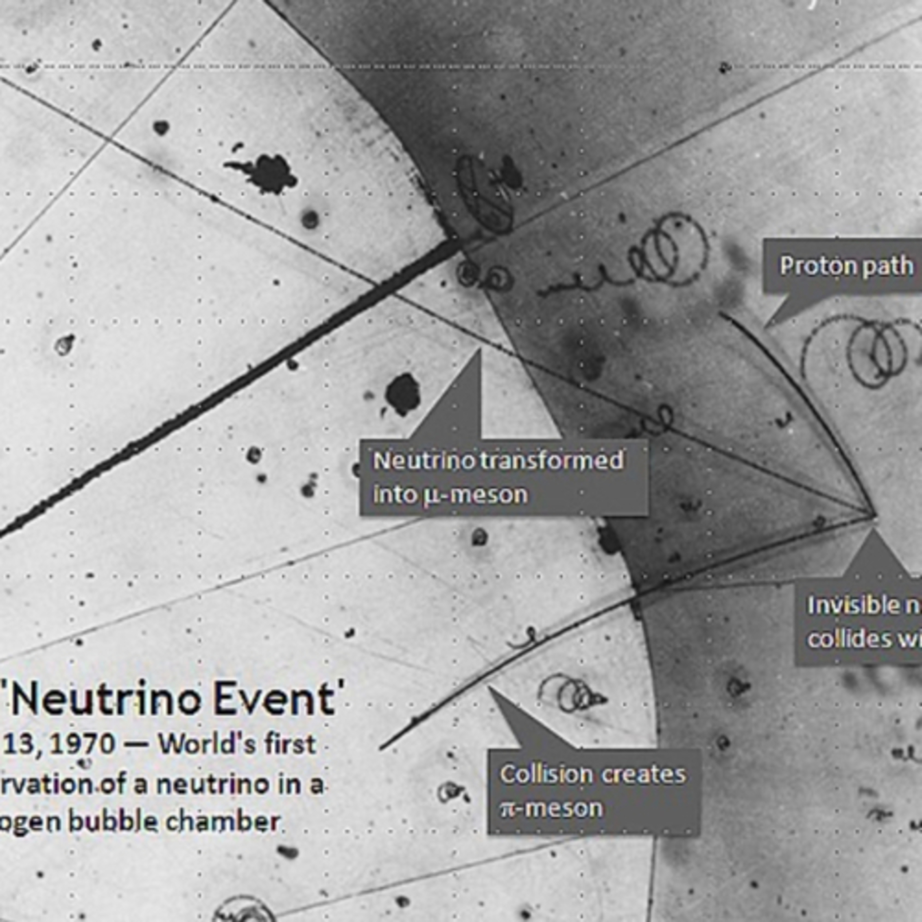 The neutrino is so named because it is electrically neutral