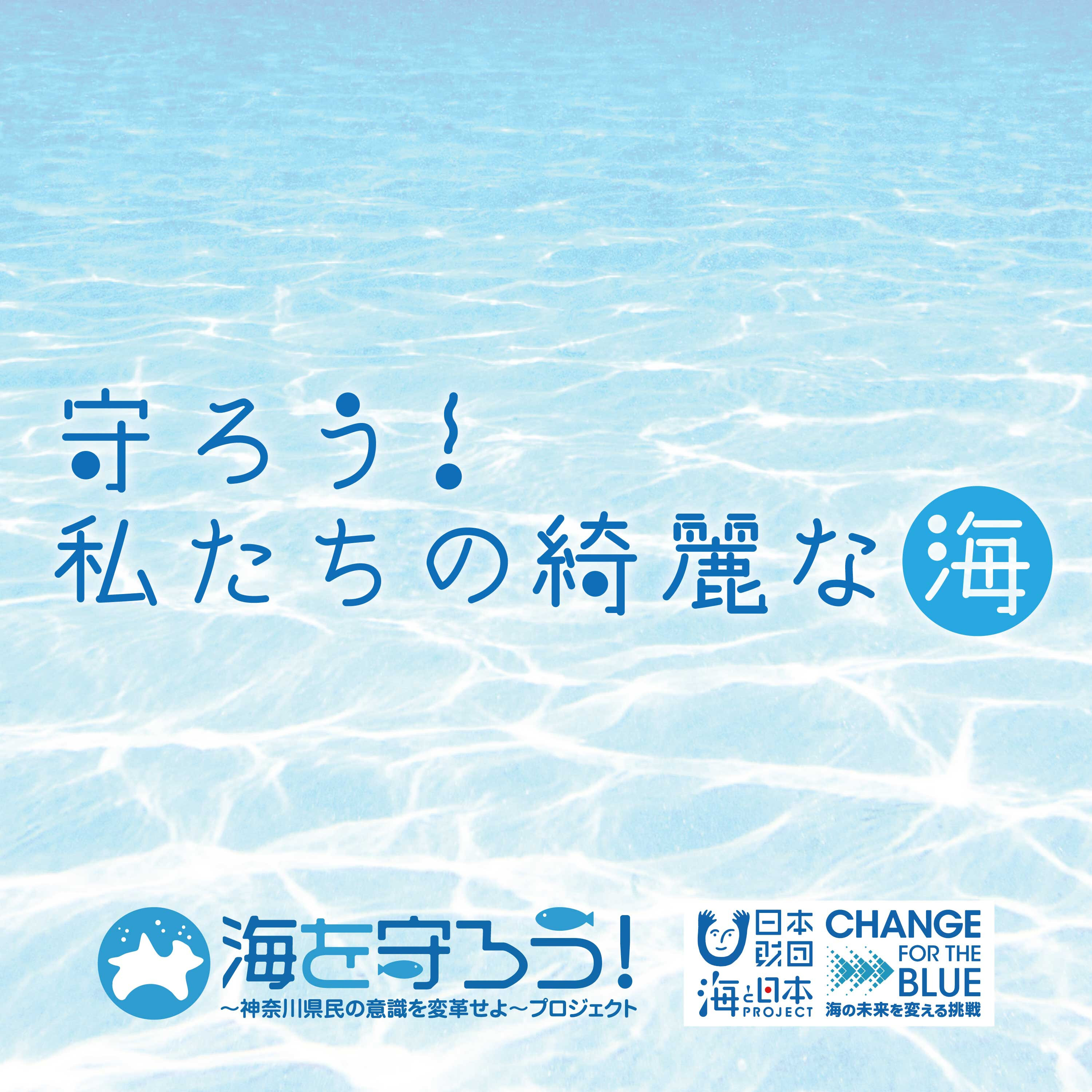 絵本「ホホジロザメ」を手掛けたシャークジャーナリスト　沼口麻子さんのインタビュー① episode artwork