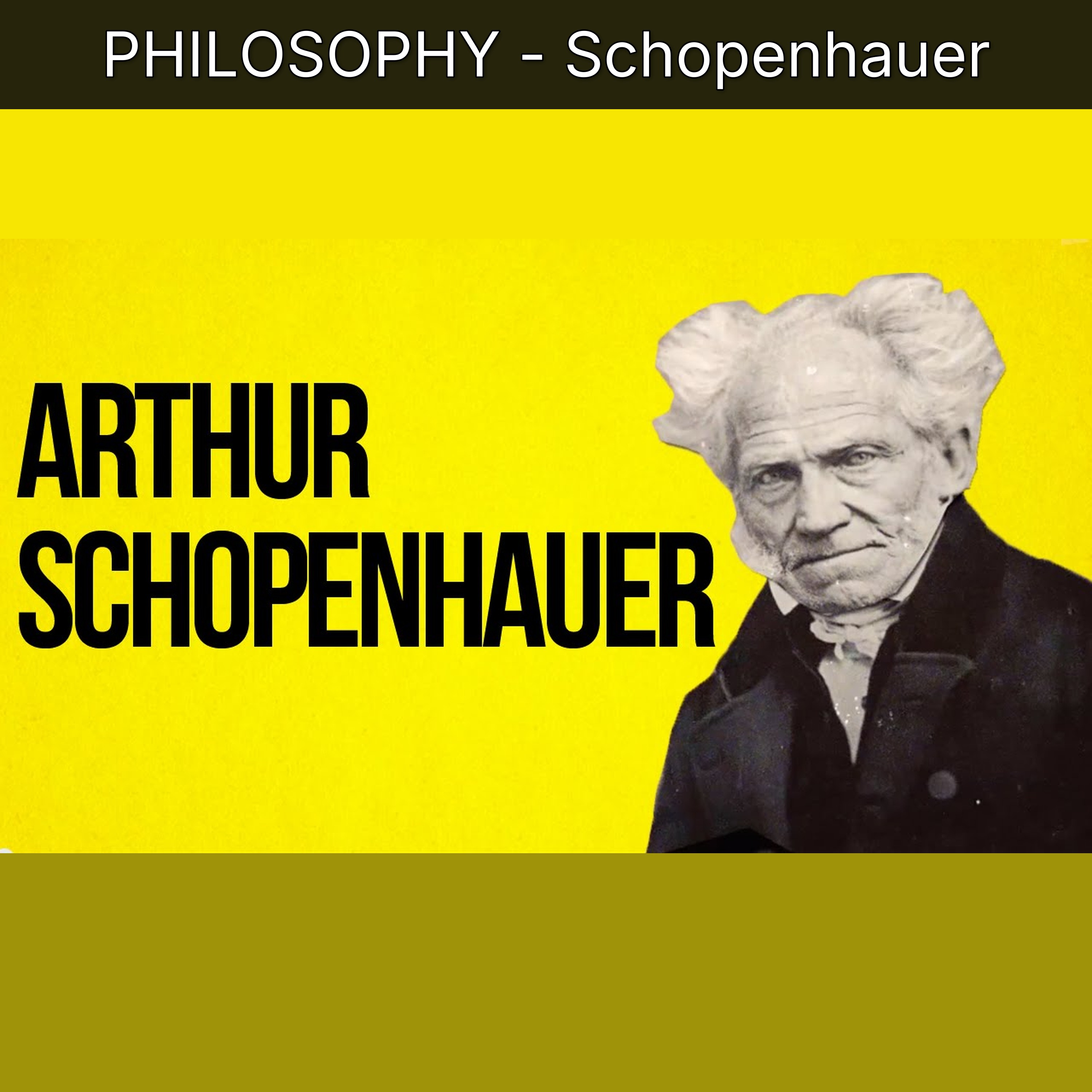 PHILOSOPHY - Schopenhauer