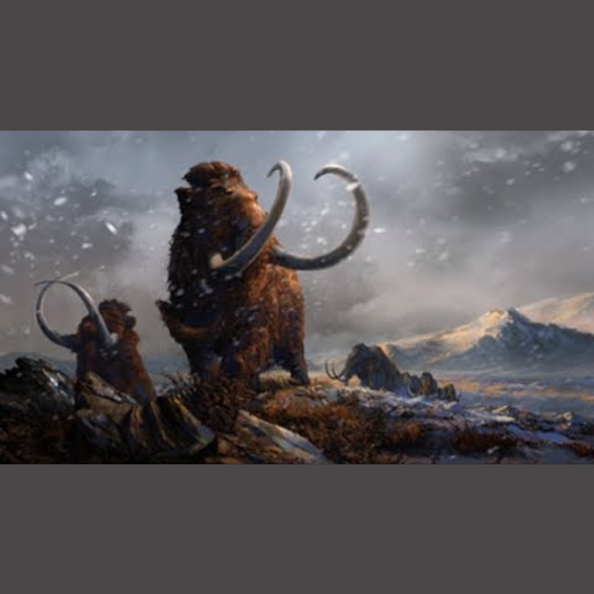 Mammoth - Ancient Animal episode artwork