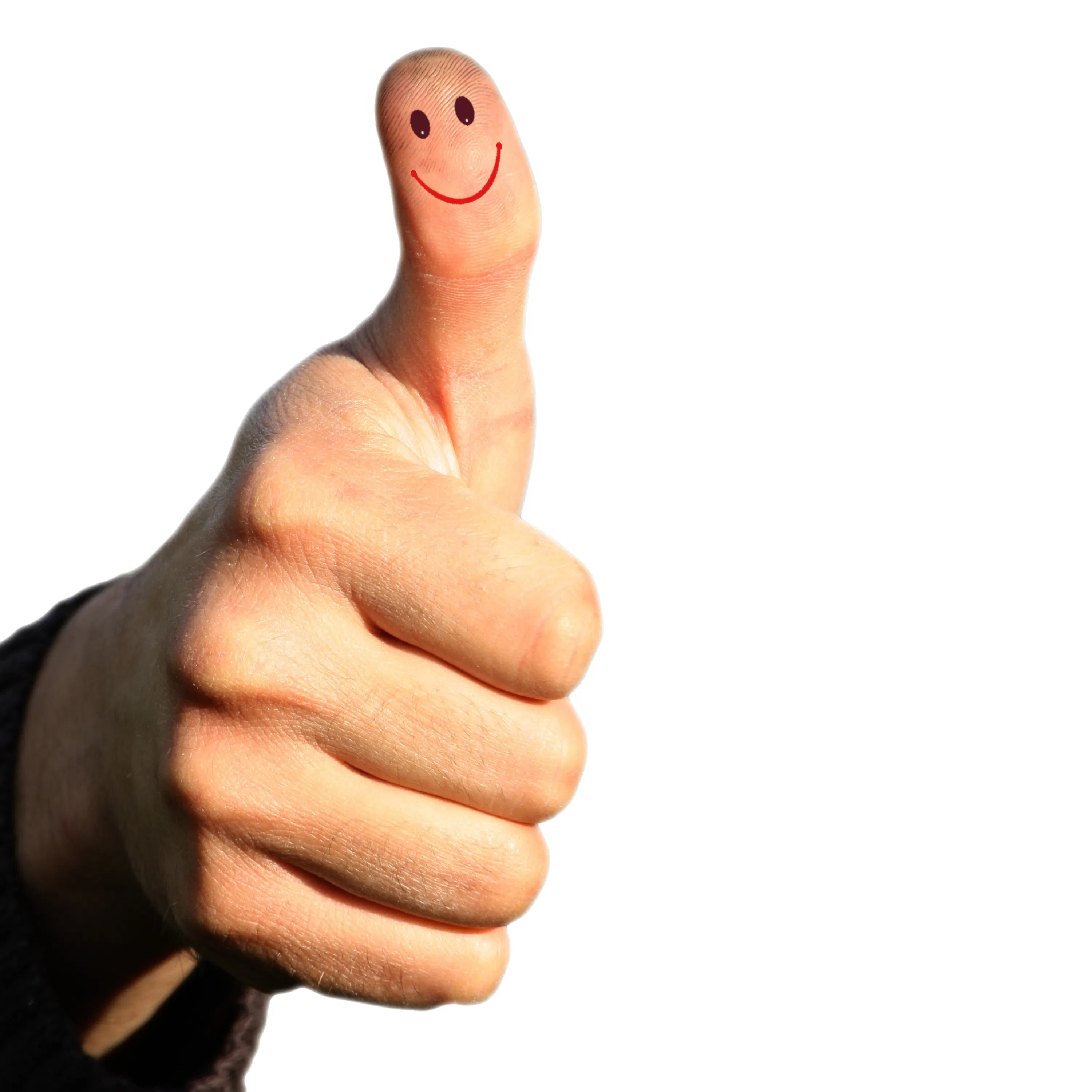 Qu'est-ce que la dopamine ?