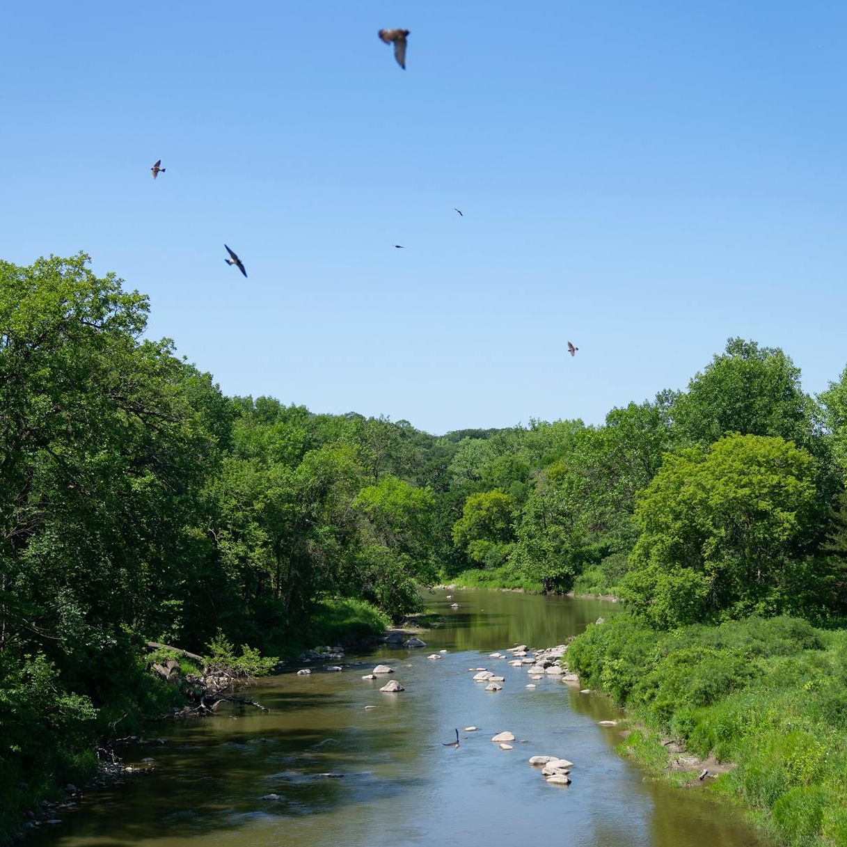 Will MN ever get a new state park?