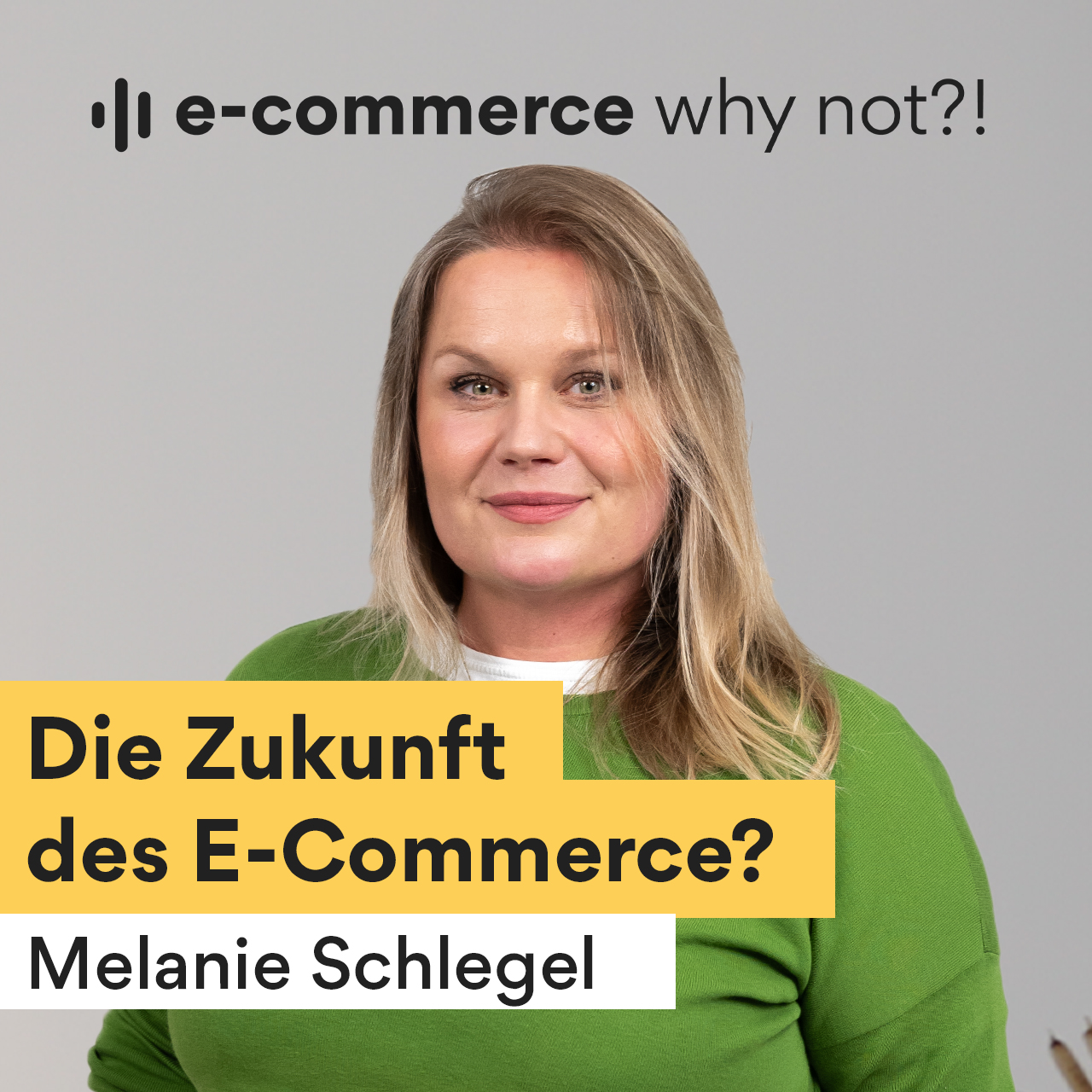 E-Commerce, Why Not?! Tipps für dein Business von Johannes Kliesch und Romy Riffel
