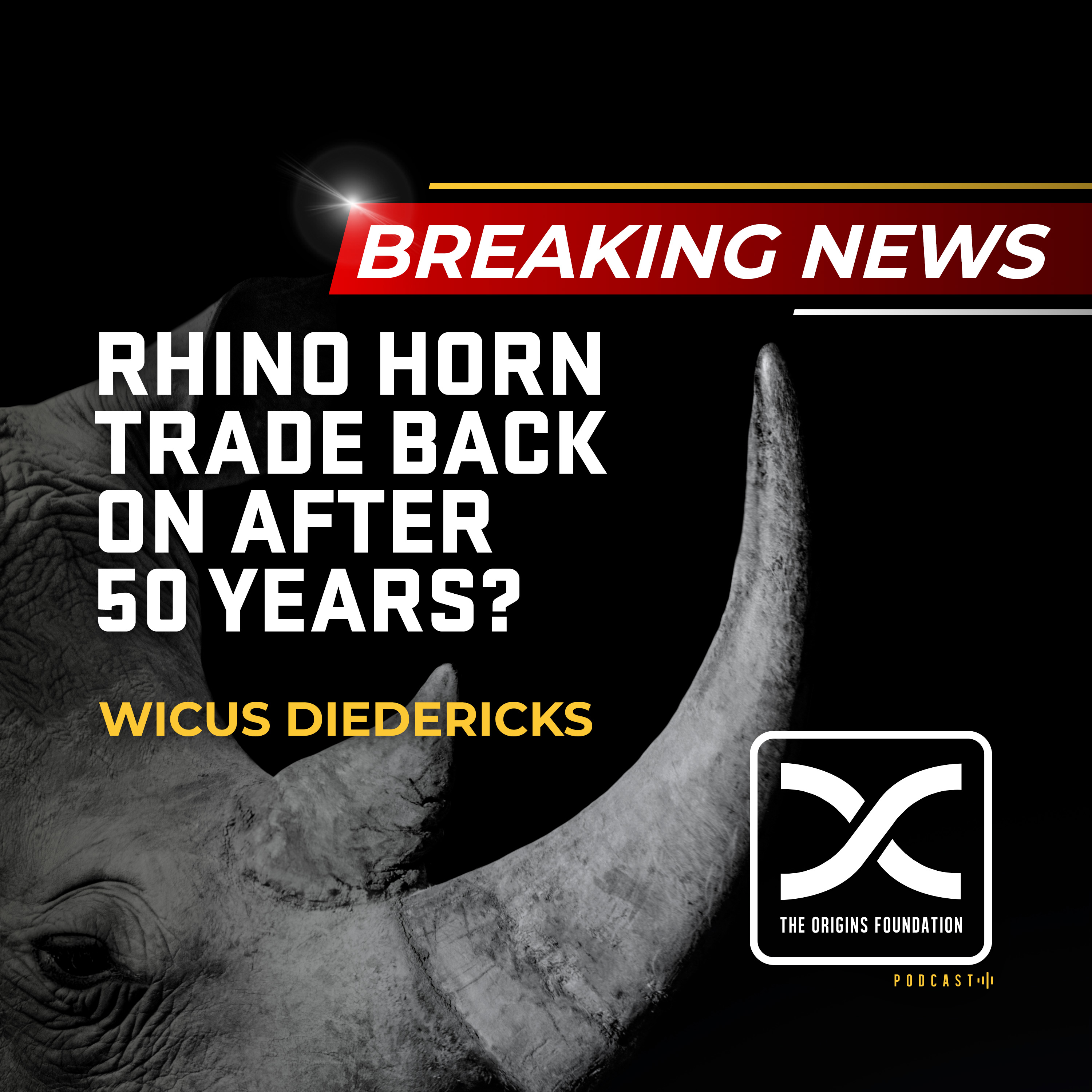 Episode 605 - Wicus Diedericks || Rhino Horn Trade Back On After 50 Years?