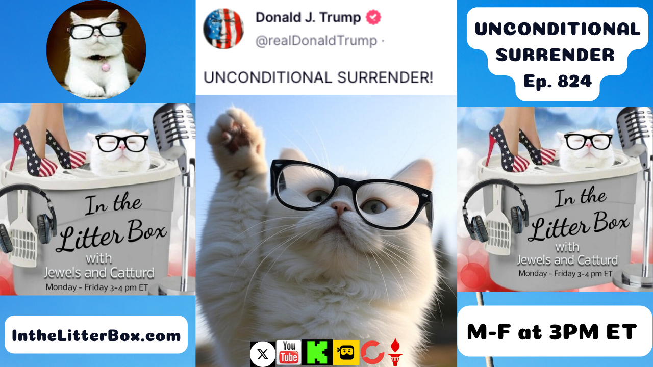 UNCONDITIONAL SURRENDER! | In the Litter Box w/ Jewels & Catturd – Ep. 824 – 6/18/2025
