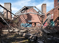 Episode 53 - Rust Belt America: Land of the Obama-Trump Voter