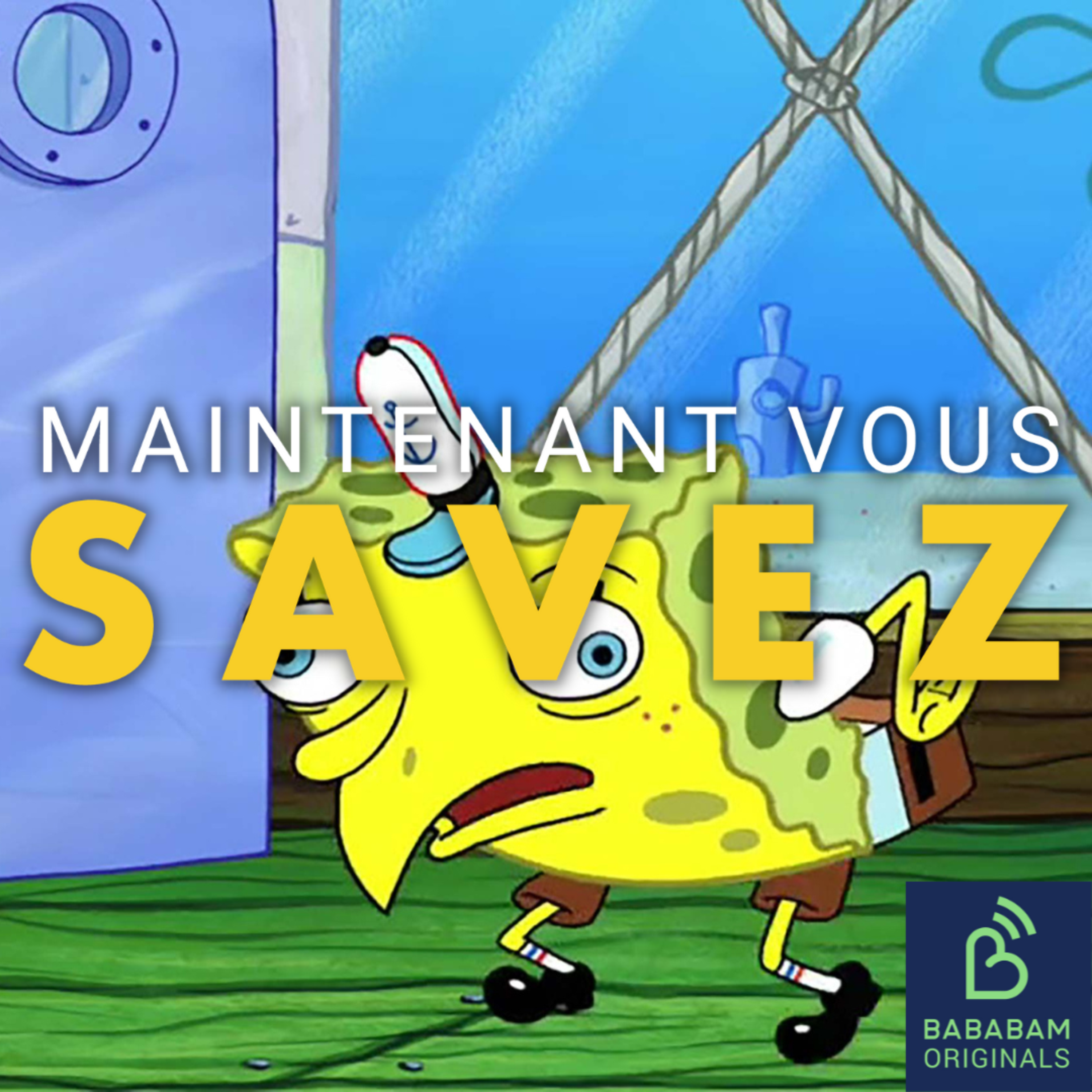 Qu'est-ce qu'un meme ?