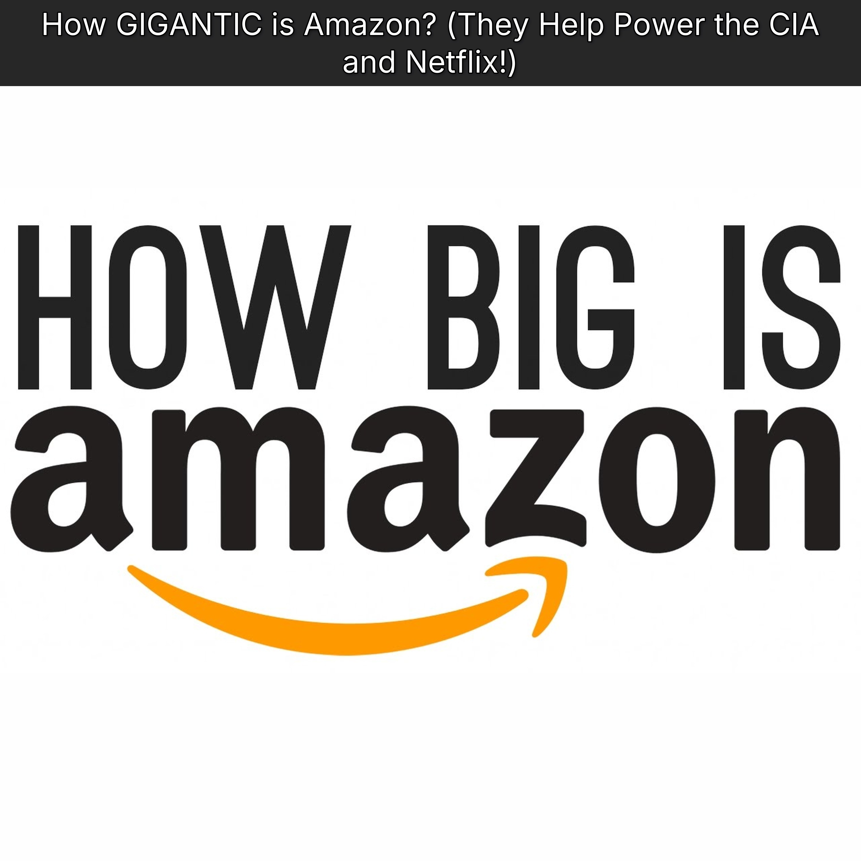 How GIGANTIC is Amazon? (They Help Power the CIA and Netflix!)