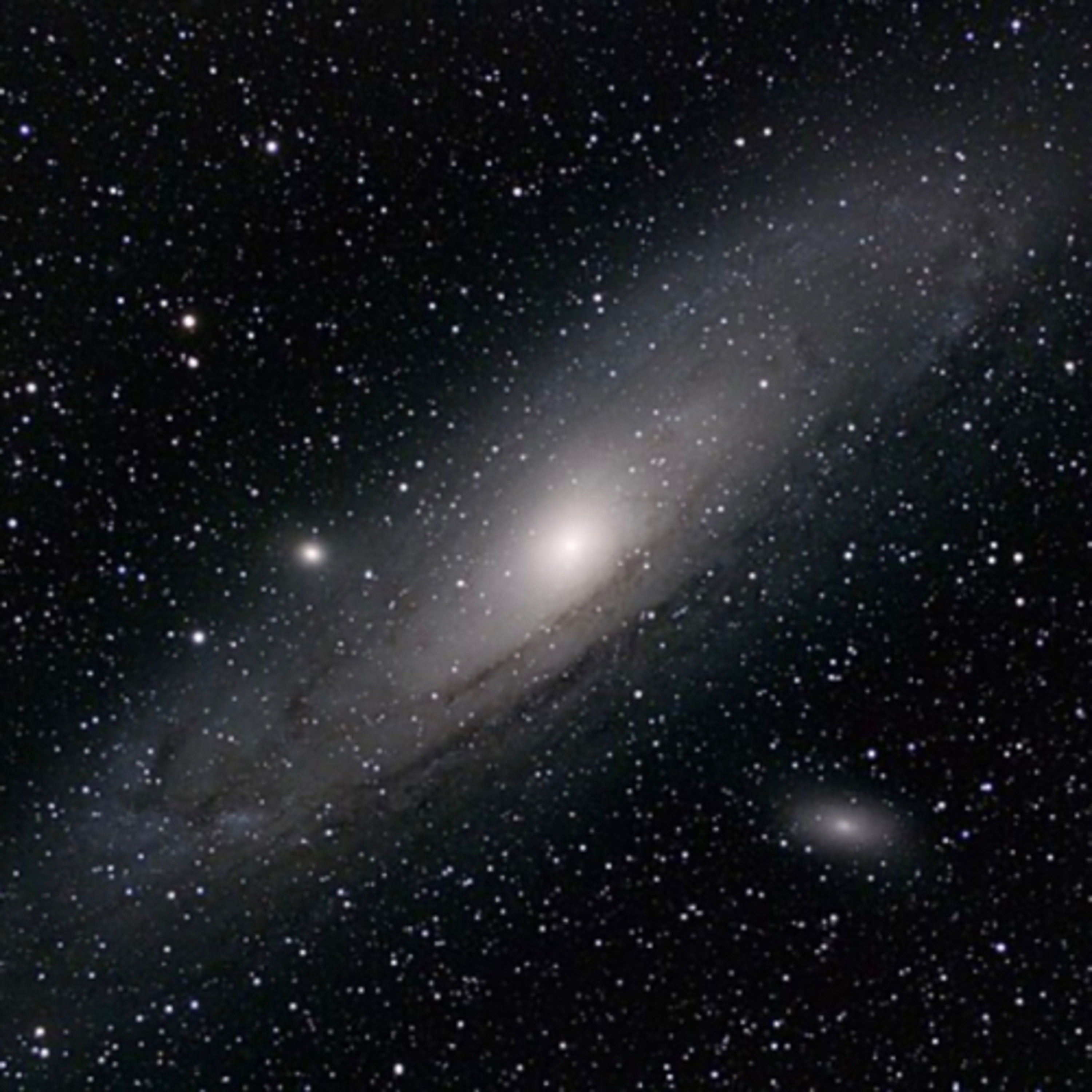 The Andromeda Galaxy is a barred spiral galaxy and is the closest major galaxy to the Milky Way