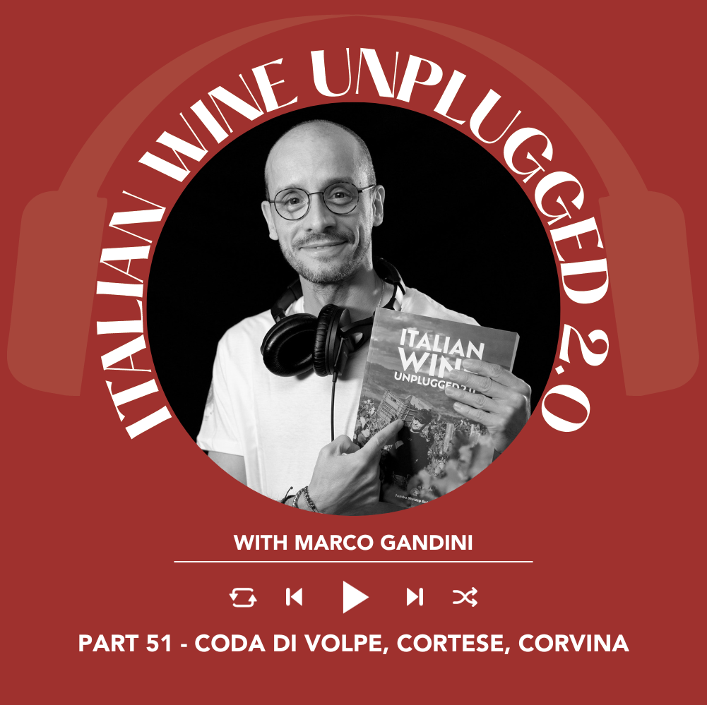 Italian Wine Podcast
