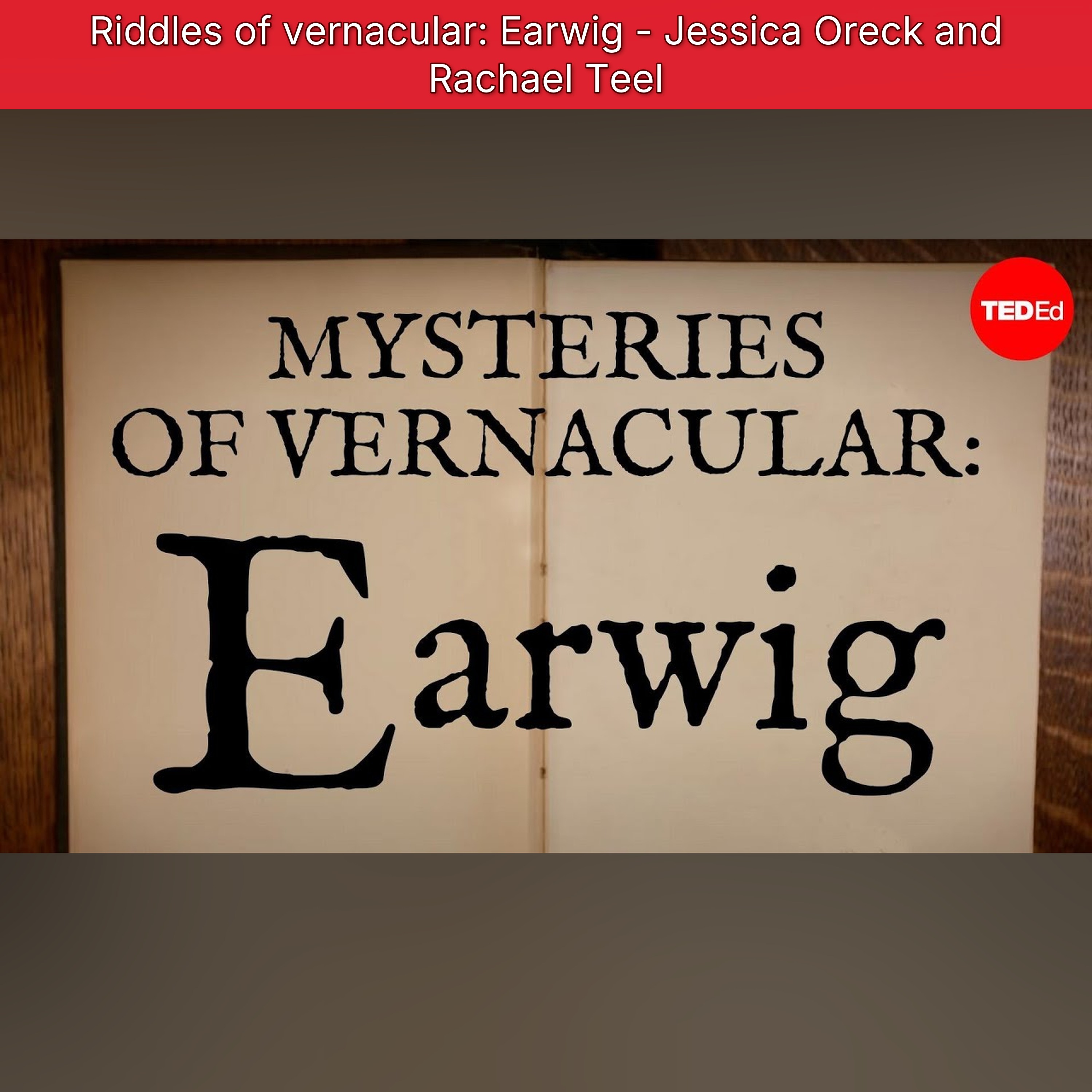 Riddles of vernacular: Earwig - Jessica Oreck and Rachael Teel