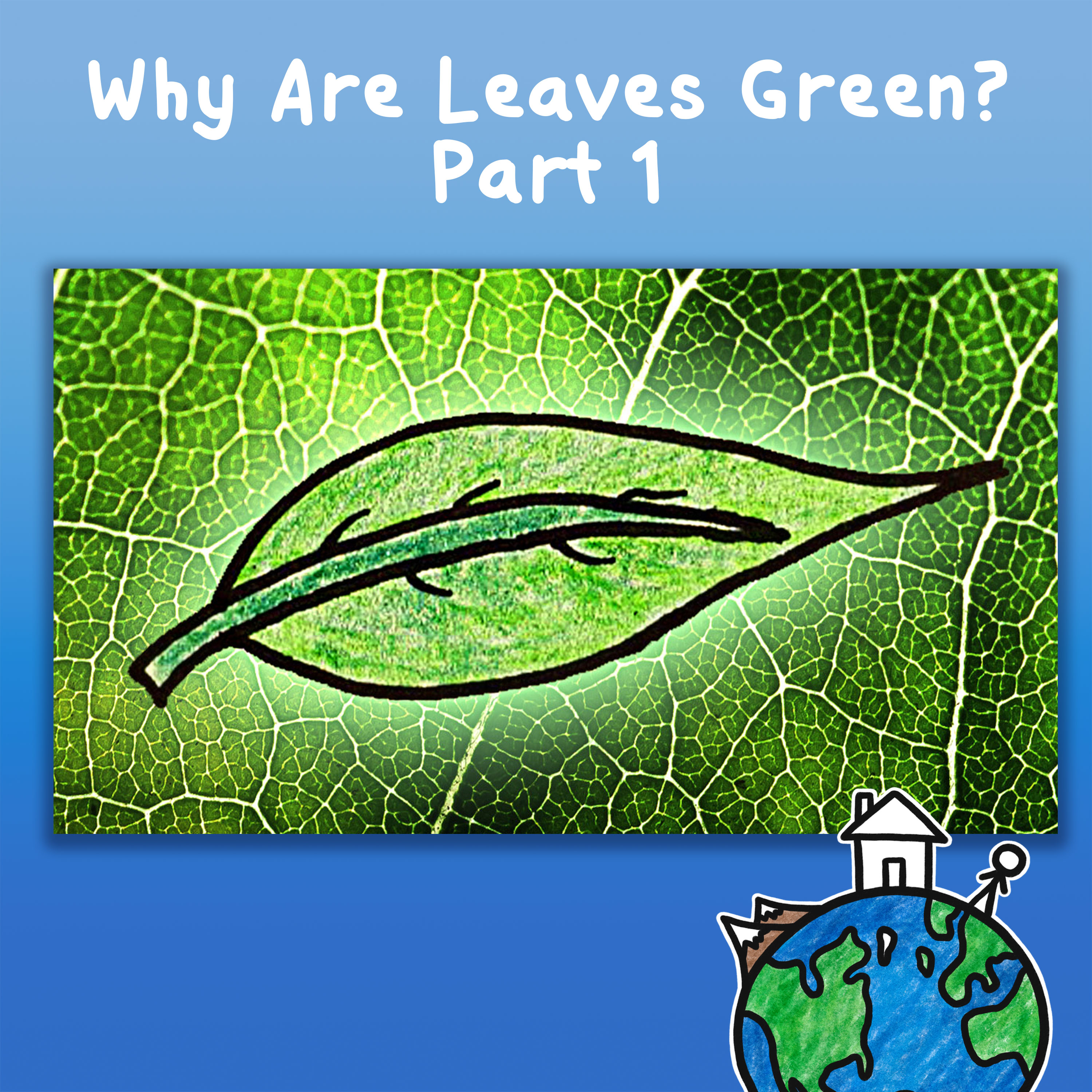 Why Are Leaves Green? Part 1